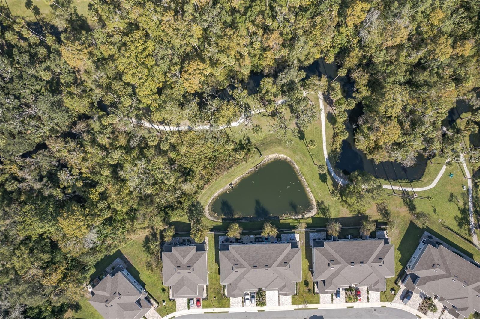 5360 RIVERWALK PRESERVE DR, NEW PORT RICHEY, FL, 34653