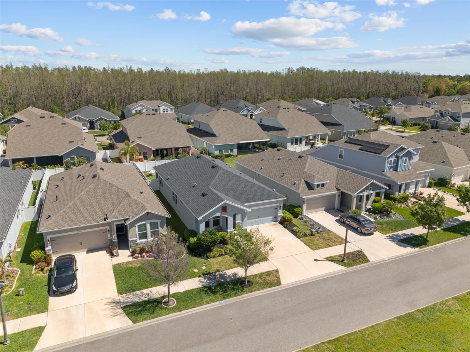 15401 CARAVAN AVE, ODESSA, FL, 33556