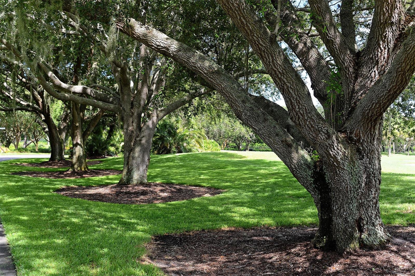402 WALLS WAY, OSPREY, FL, 34229