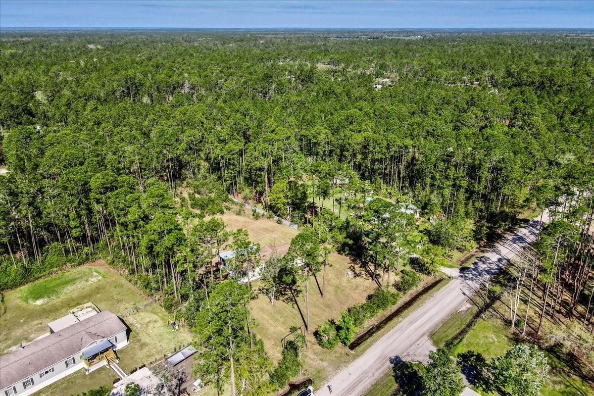 1758 SATINWOOD ST, BUNNELL, FL, 32110