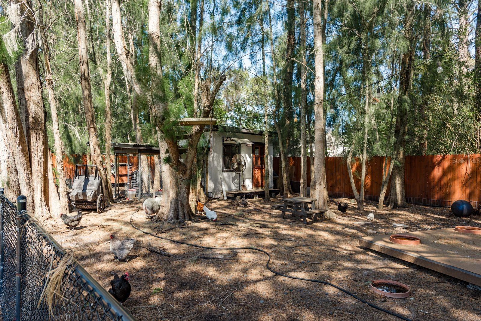 1732 HICKORY GATE DR N, DUNEDIN, FL, 34698