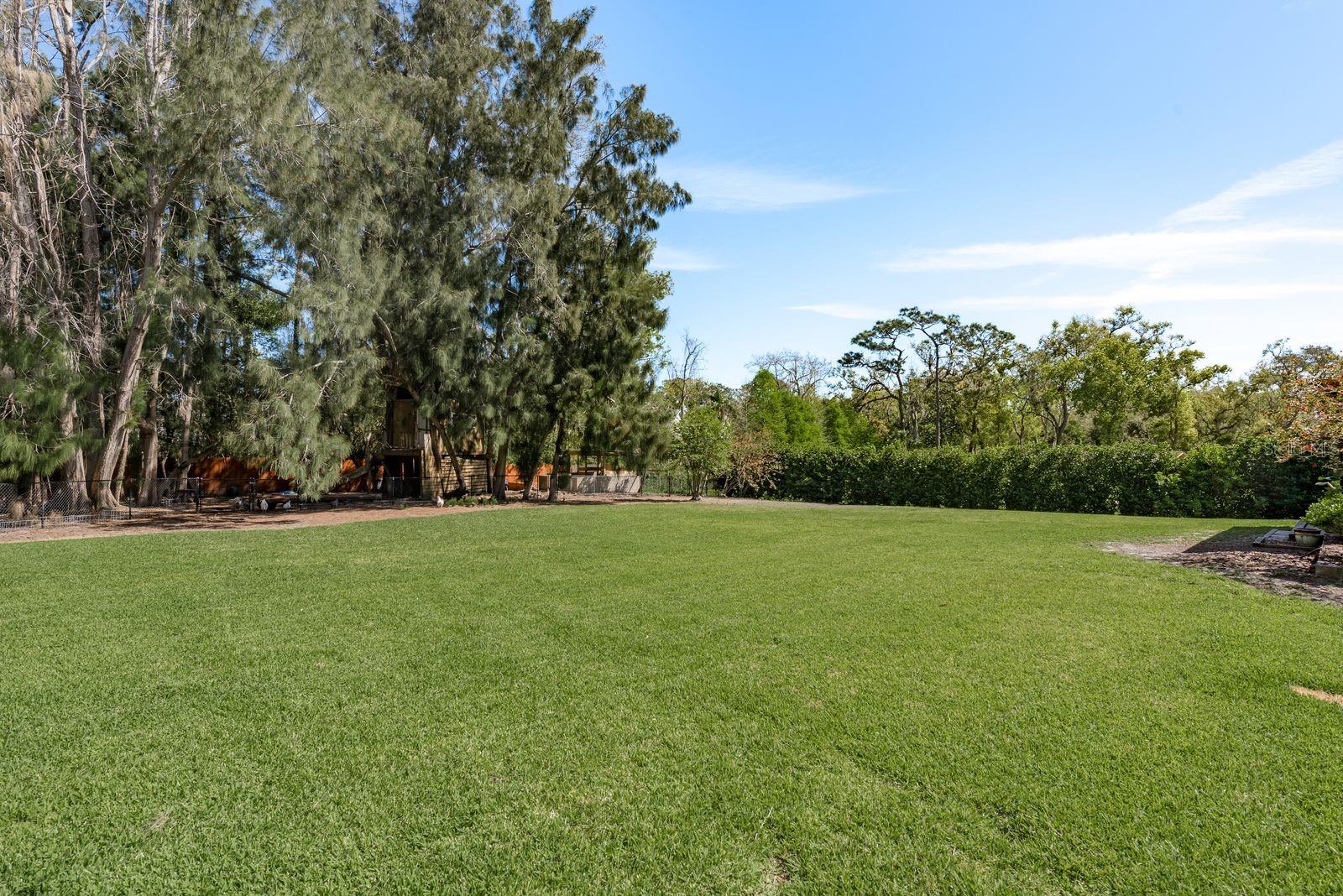 1732 HICKORY GATE DR N, DUNEDIN, FL, 34698