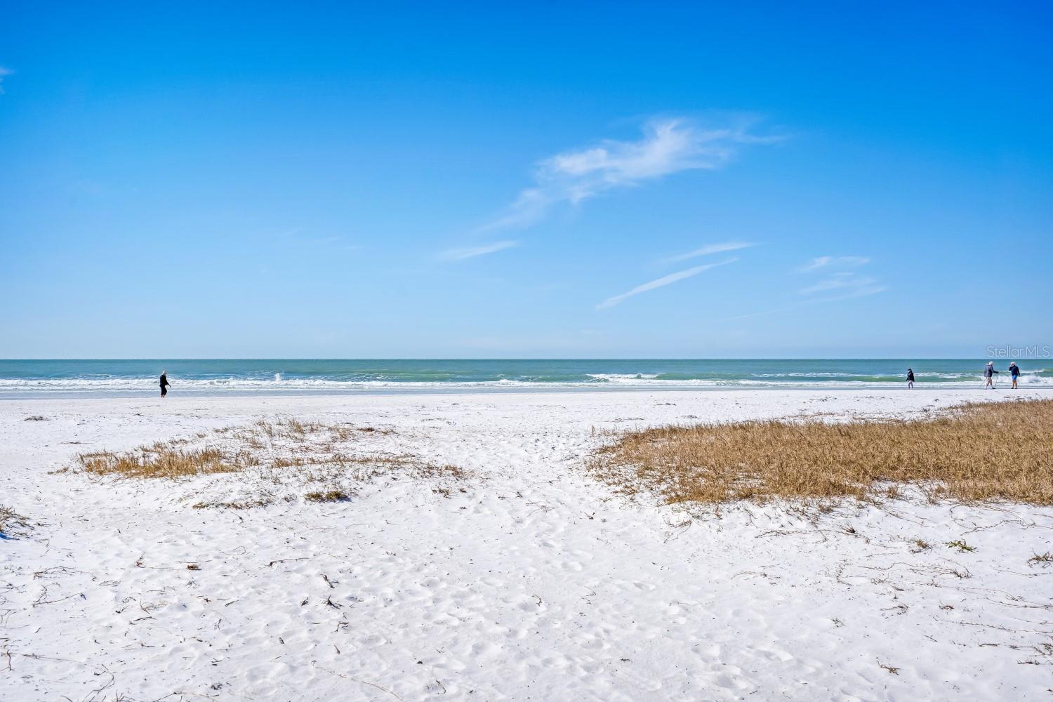 2213 WASON RD, SARASOTA, FL, 34231