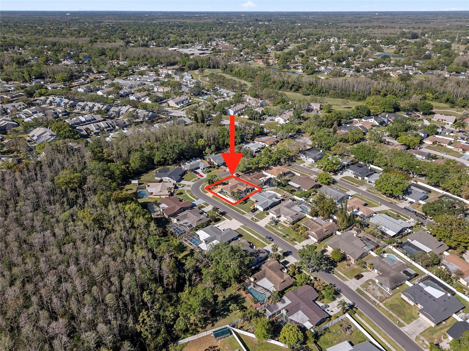 4219 SUMMERDALE DR, TAMPA, FL, 33624
