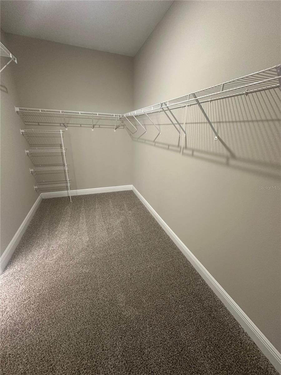 11929 BRACCO ST, WINTER GARDEN, FL, 34787