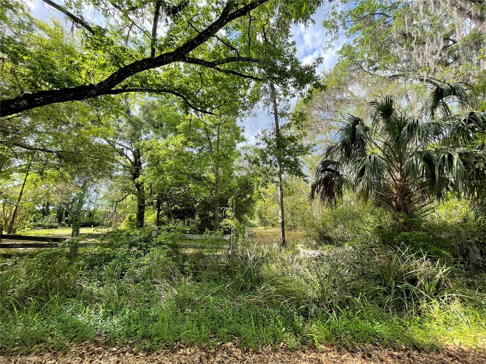 17400 NW 120TH AVE RD, REDDICK, FL, 32686