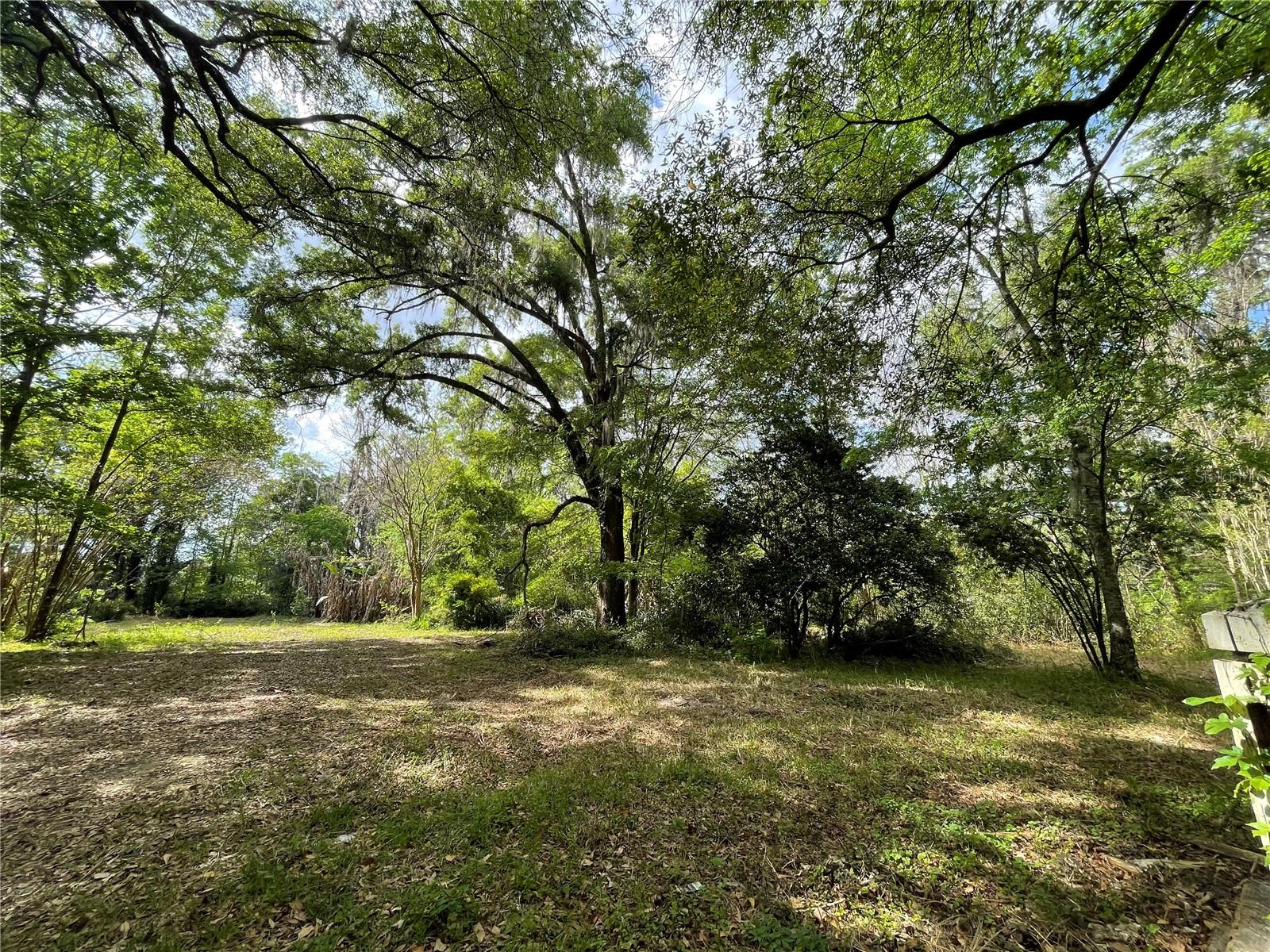 17400 NW 120TH AVE RD, REDDICK, FL, 32686