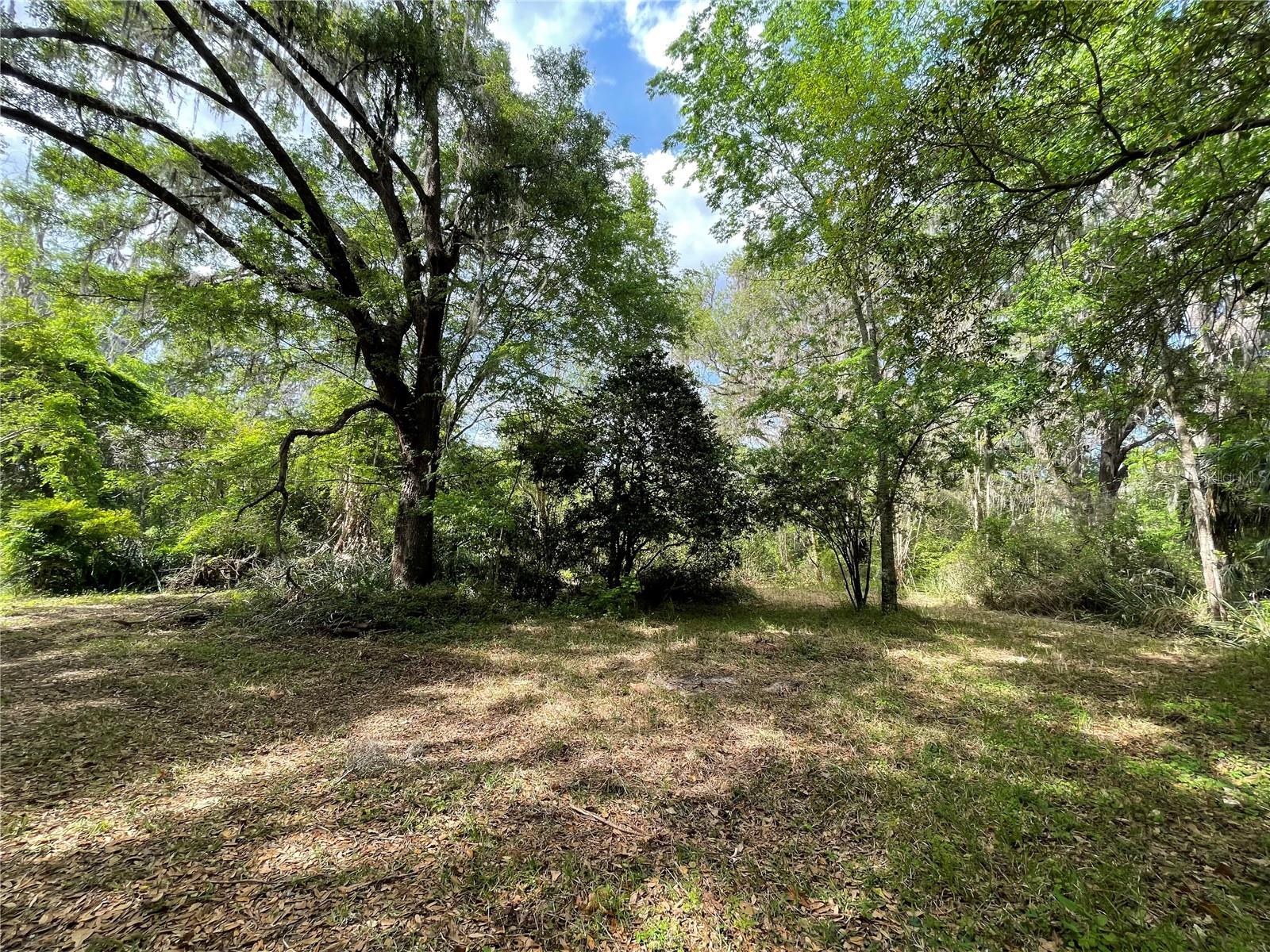 17400 NW 120TH AVE RD, REDDICK, FL, 32686