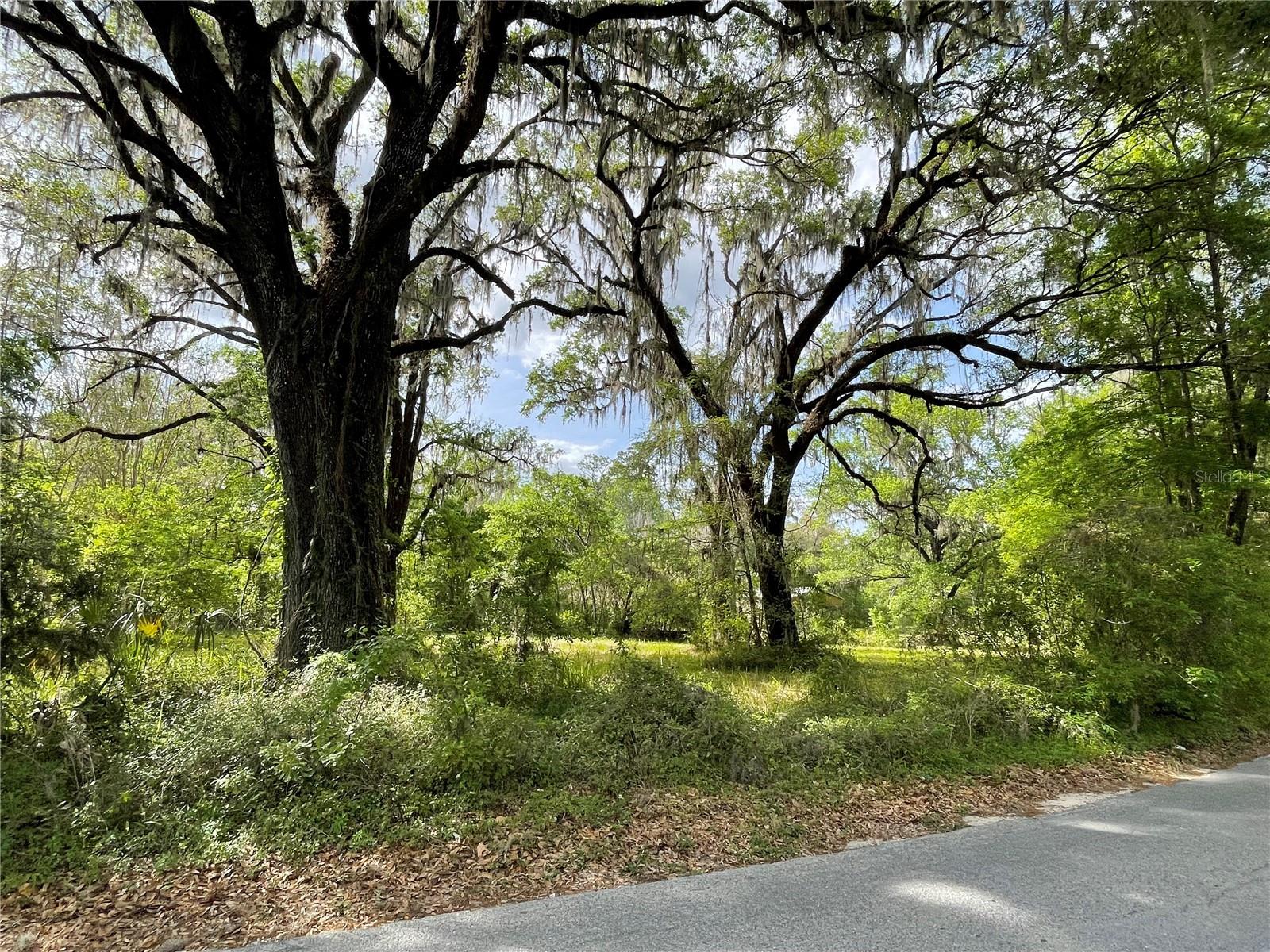 17400 NW 120TH AVE RD, REDDICK, FL, 32686