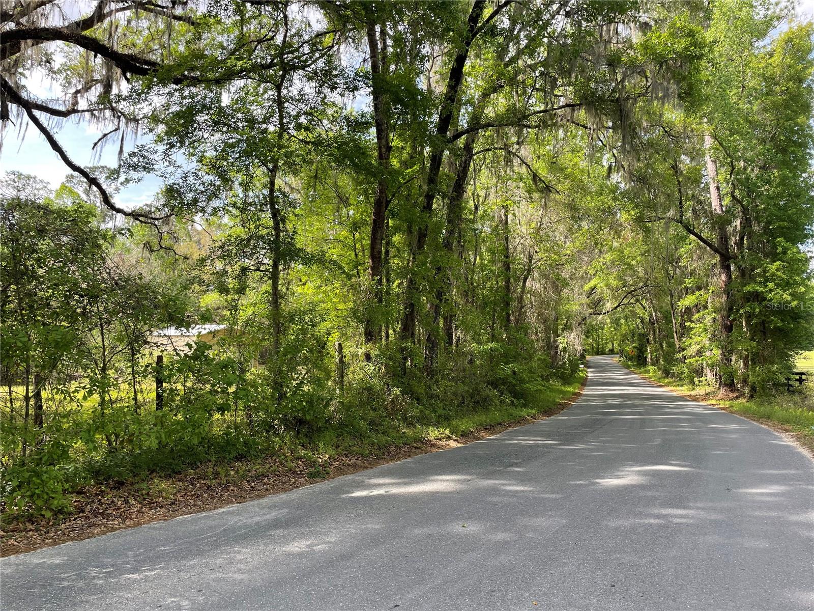 17400 NW 120TH AVE RD, REDDICK, FL, 32686