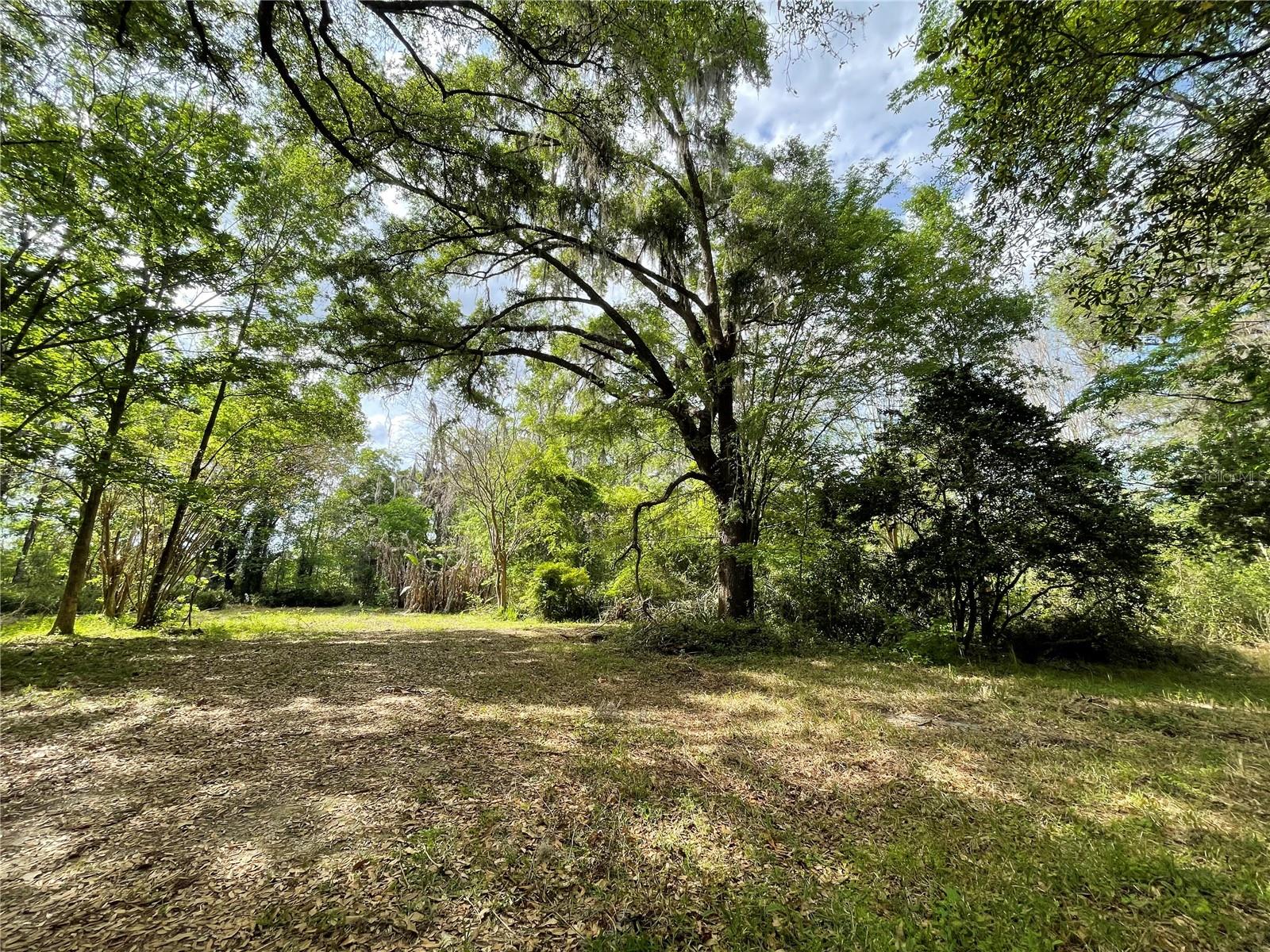 17400 NW 120TH AVE RD, REDDICK, FL, 32686