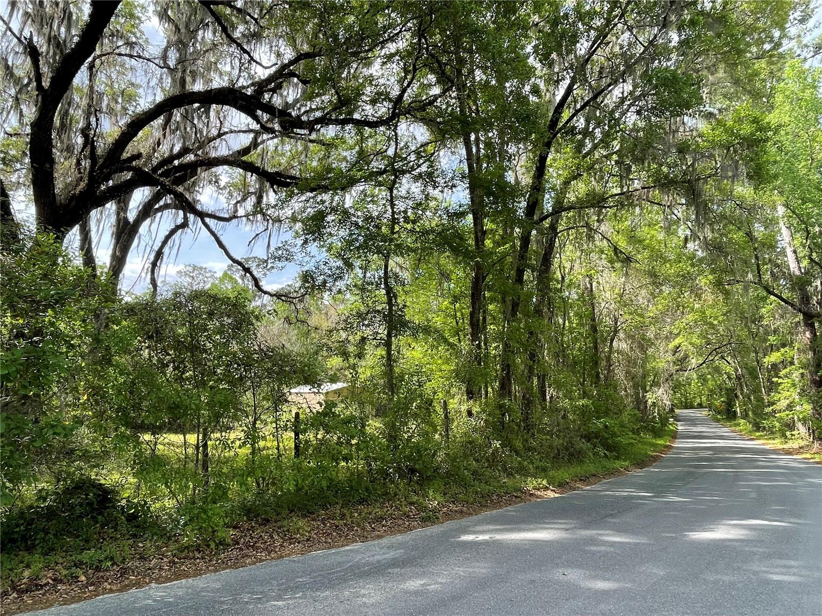 17400 NW 120TH AVE RD, REDDICK, FL, 32686