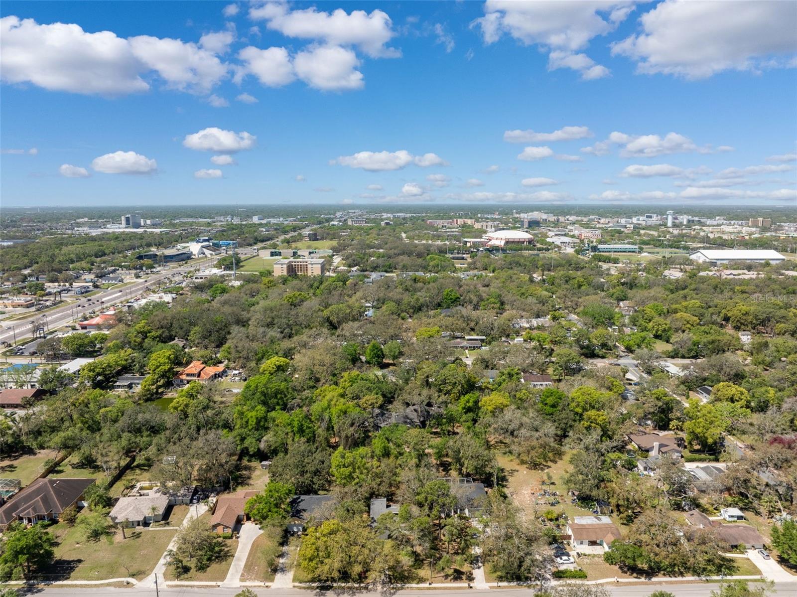 12004 N 53RD ST, TEMPLE TERRACE, FL, 33617