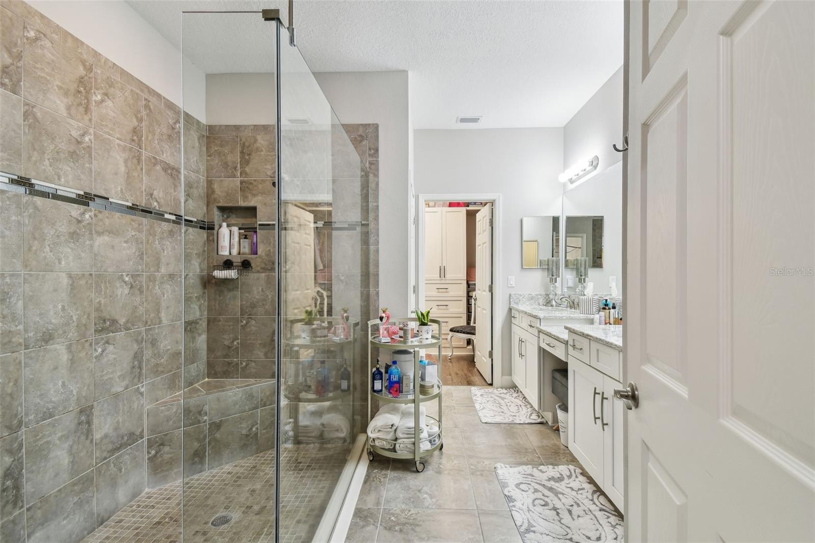 8747 TERRACINA LAKE DR, TAMPA, FL, 33625