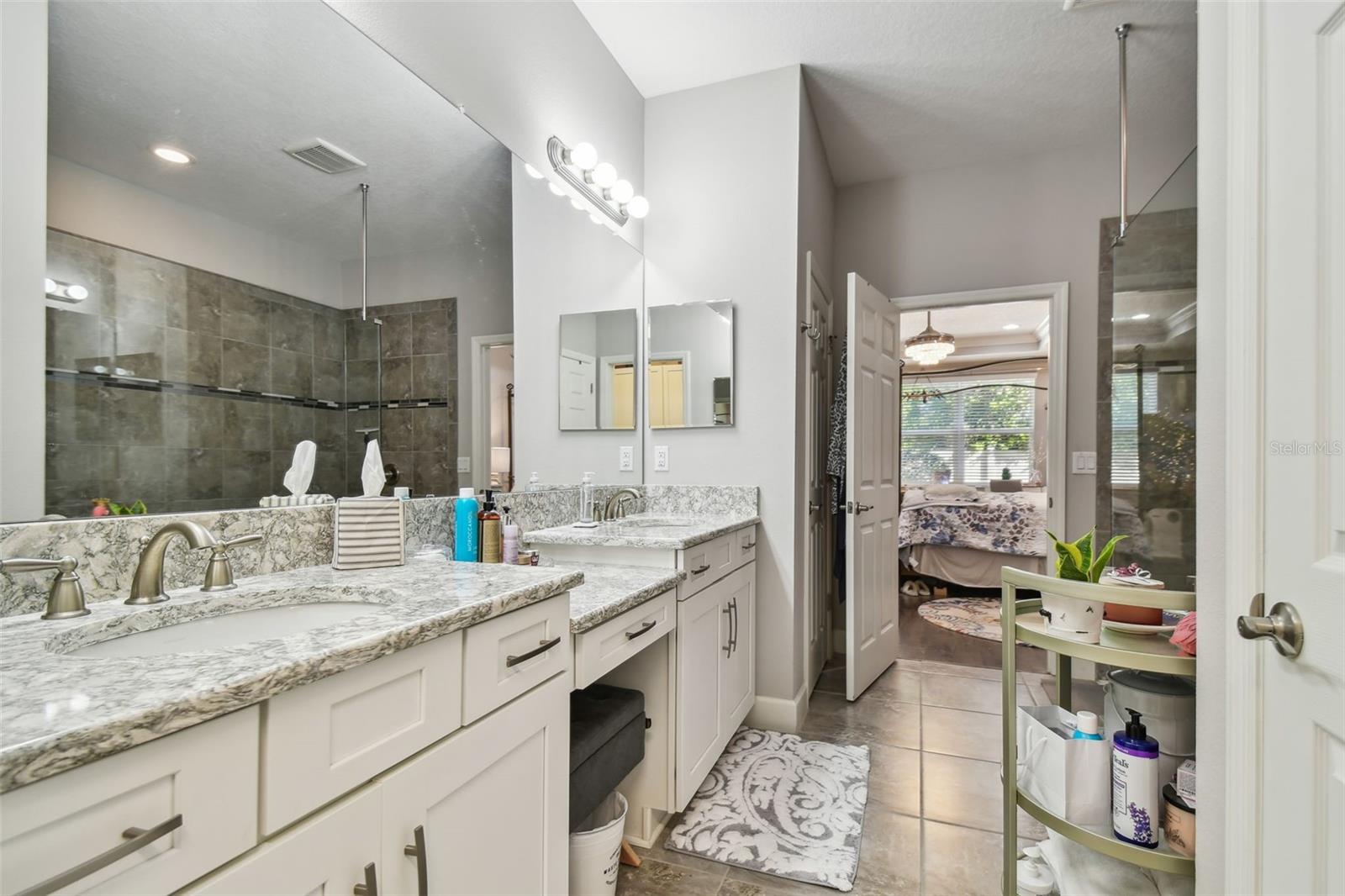 8747 TERRACINA LAKE DR, TAMPA, FL, 33625