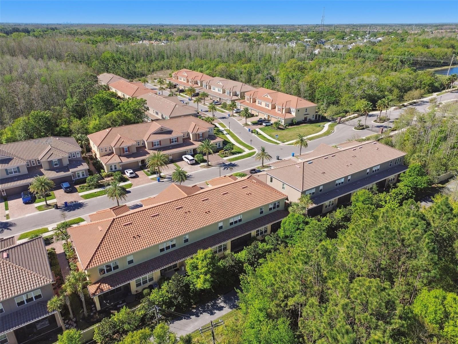8747 TERRACINA LAKE DR, TAMPA, FL, 33625