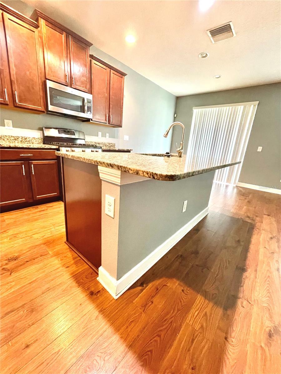 21648 SOUTHERN CHARM DR, LAND O LAKES, FL, 34637