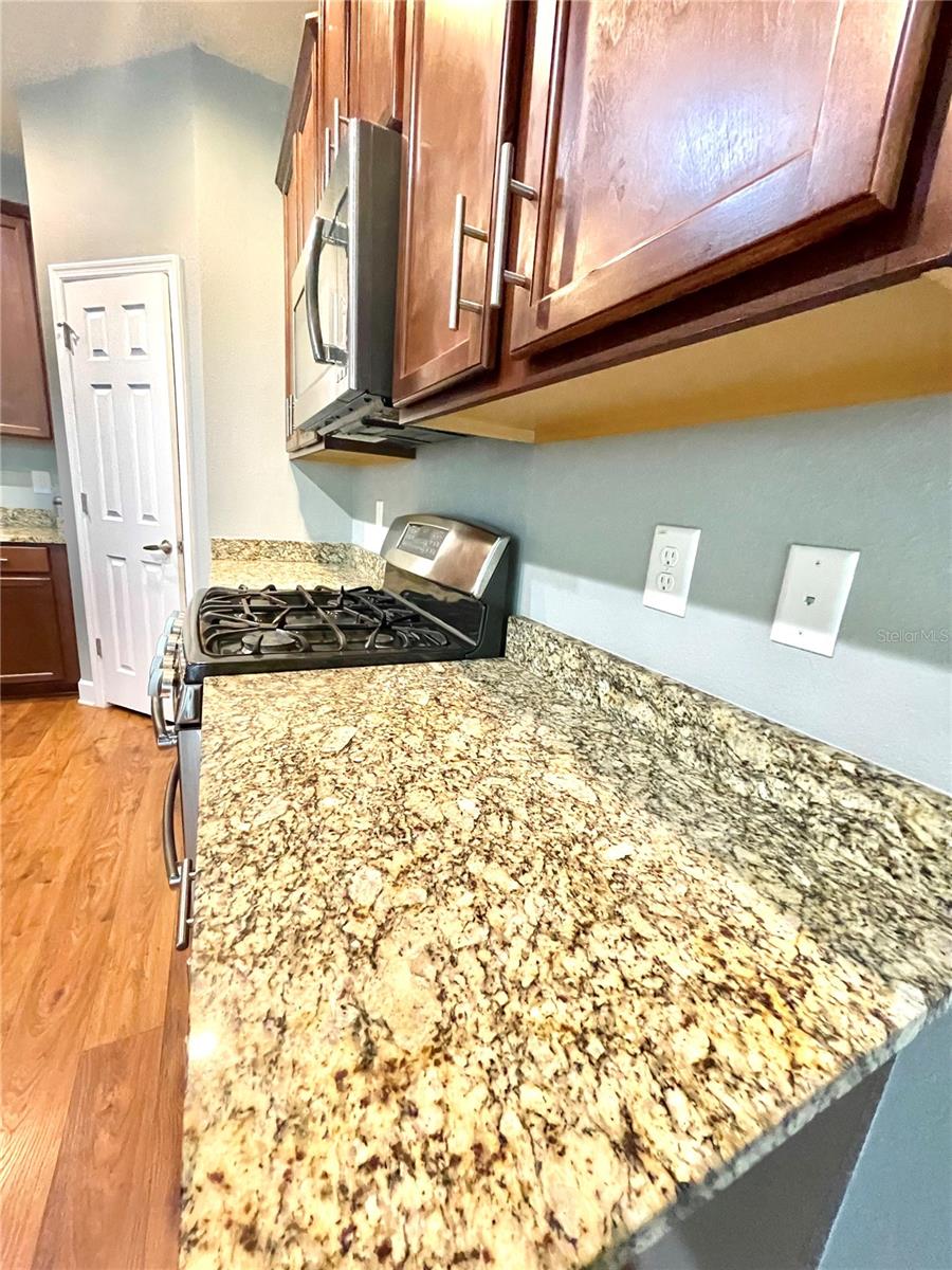 21648 SOUTHERN CHARM DR, LAND O LAKES, FL, 34637