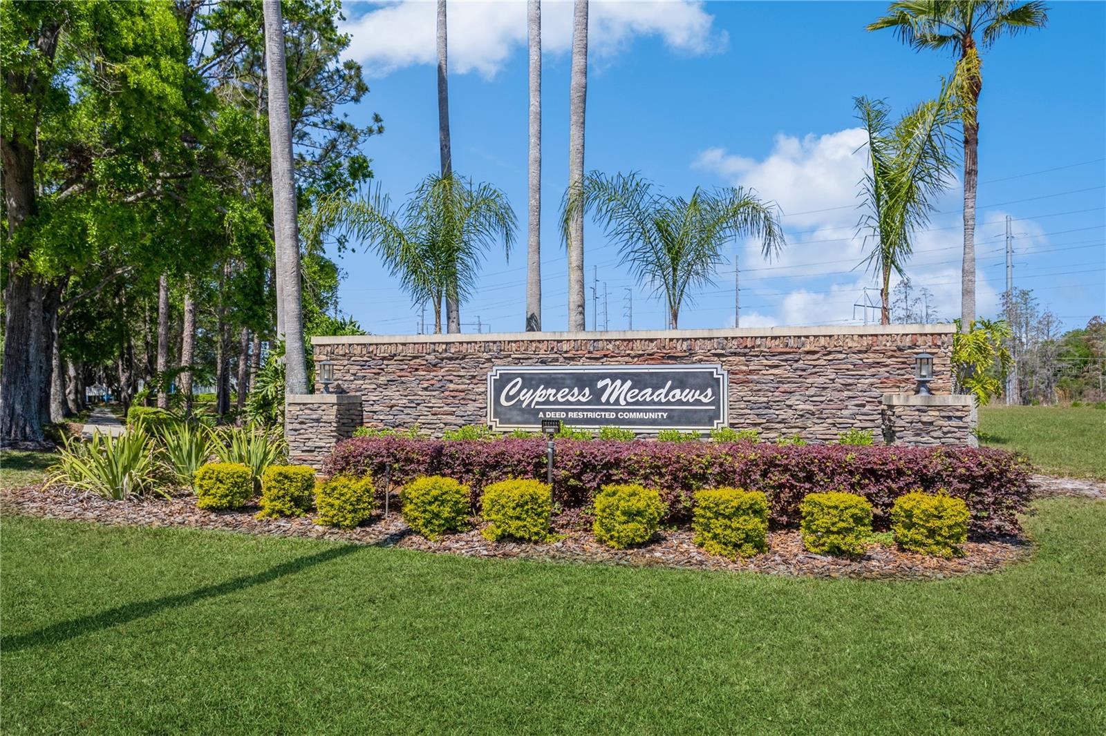 3627 CYPRESS MEADOWS RD, TAMPA, FL, 33624