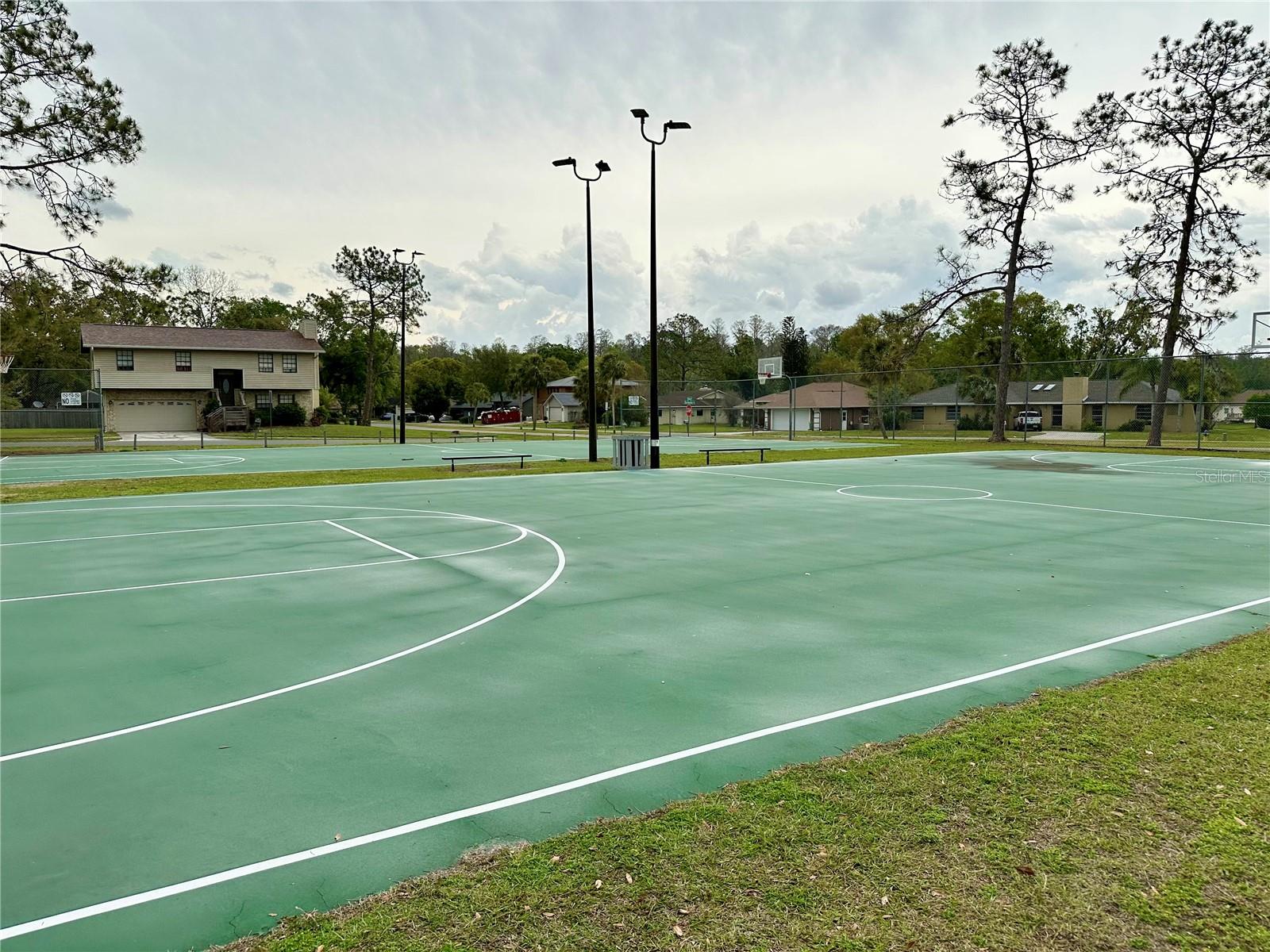 23153 GENEVA RD, LAND O LAKES, FL, 34639