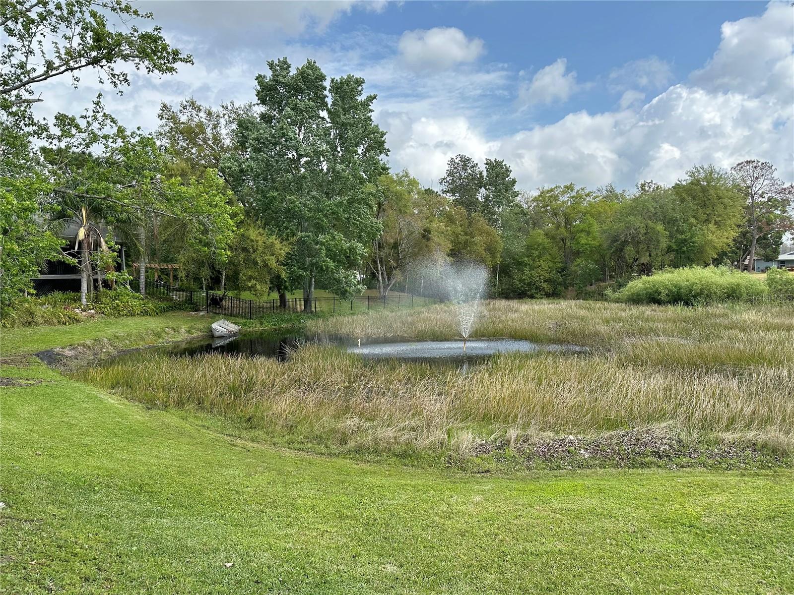 23153 GENEVA RD, LAND O LAKES, FL, 34639