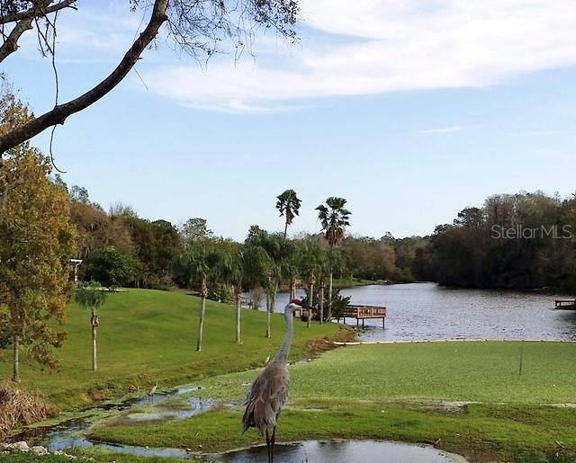 23153 GENEVA RD, LAND O LAKES, FL, 34639