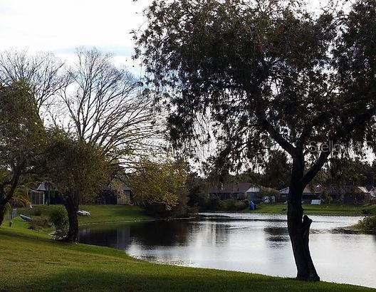 23153 GENEVA RD, LAND O LAKES, FL, 34639
