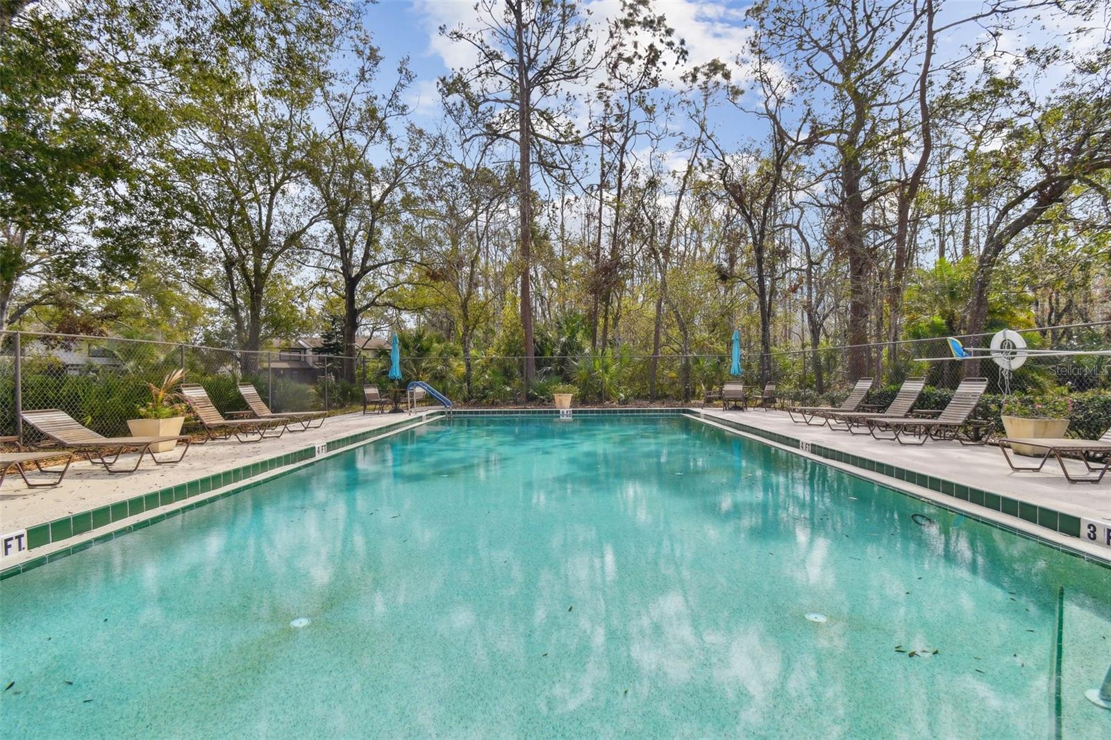 440 WOODS LANDING TRL, OLDSMAR, FL, 34677