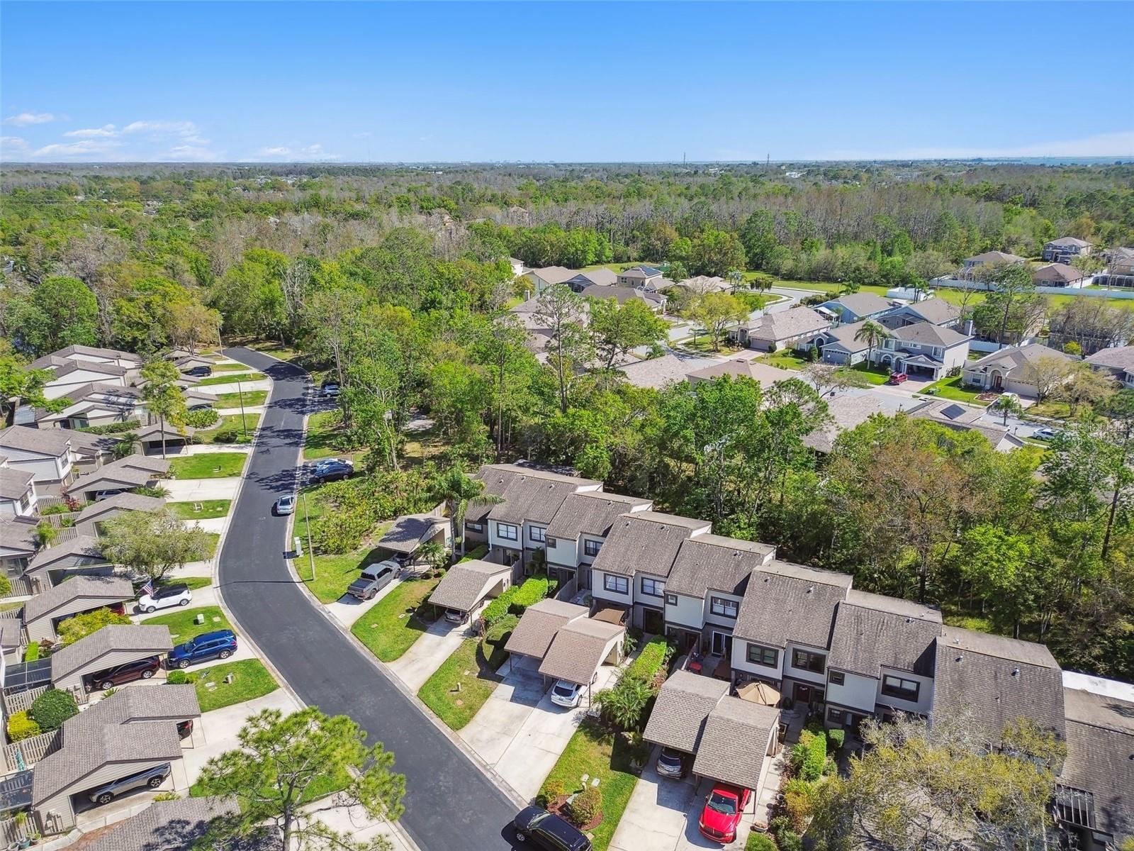 440 WOODS LANDING TRL, OLDSMAR, FL, 34677