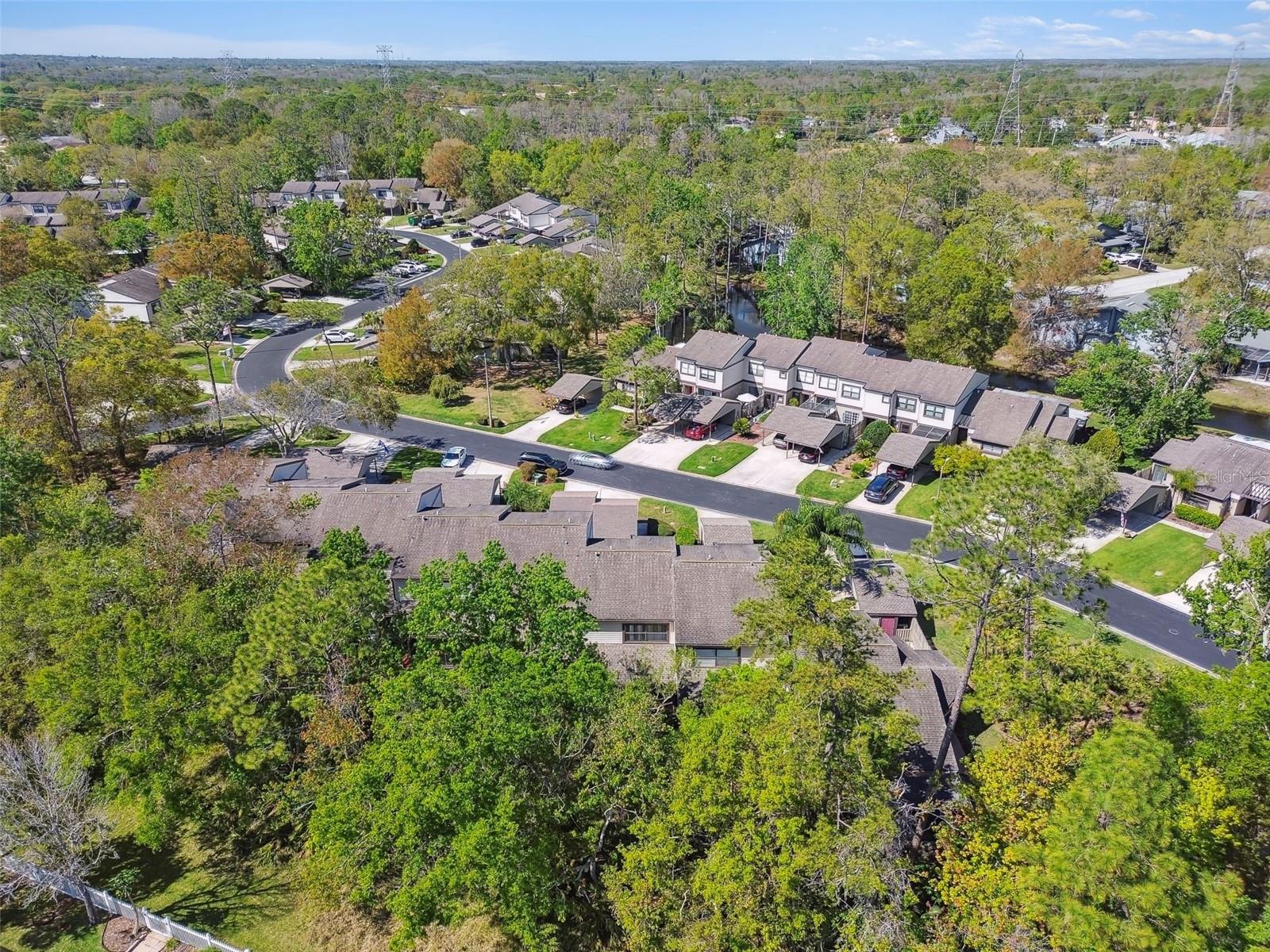 440 WOODS LANDING TRL, OLDSMAR, FL, 34677
