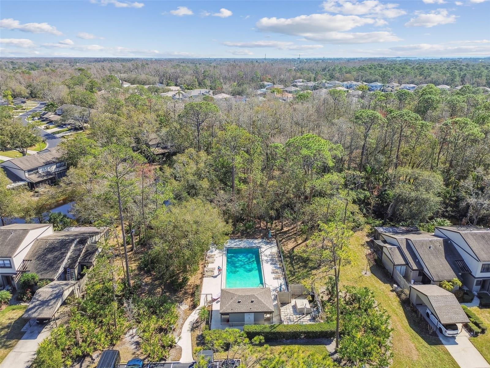 440 WOODS LANDING TRL, OLDSMAR, FL, 34677