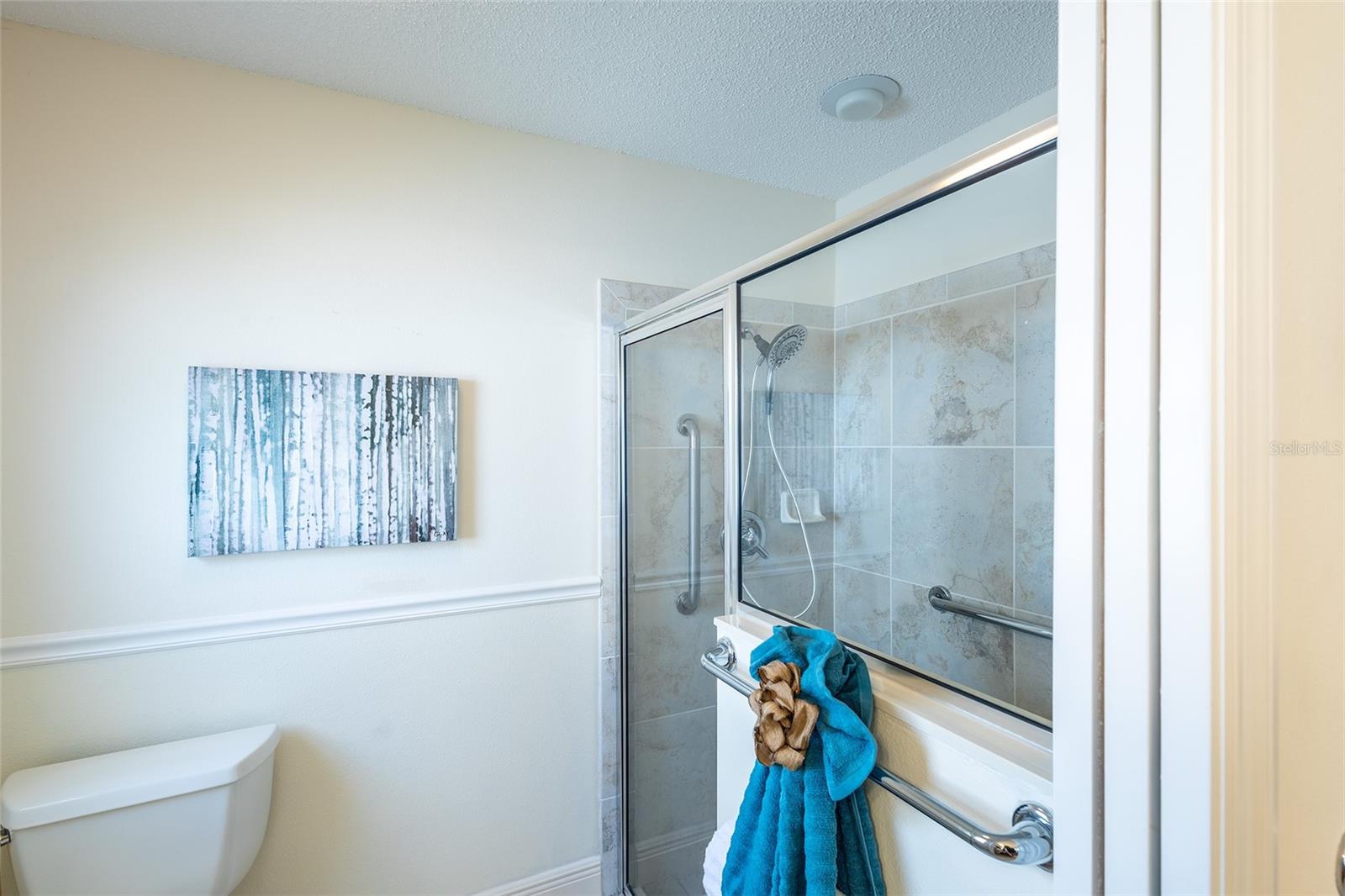 1046 RIDGELAND PATH, THE VILLAGES, FL, 32162