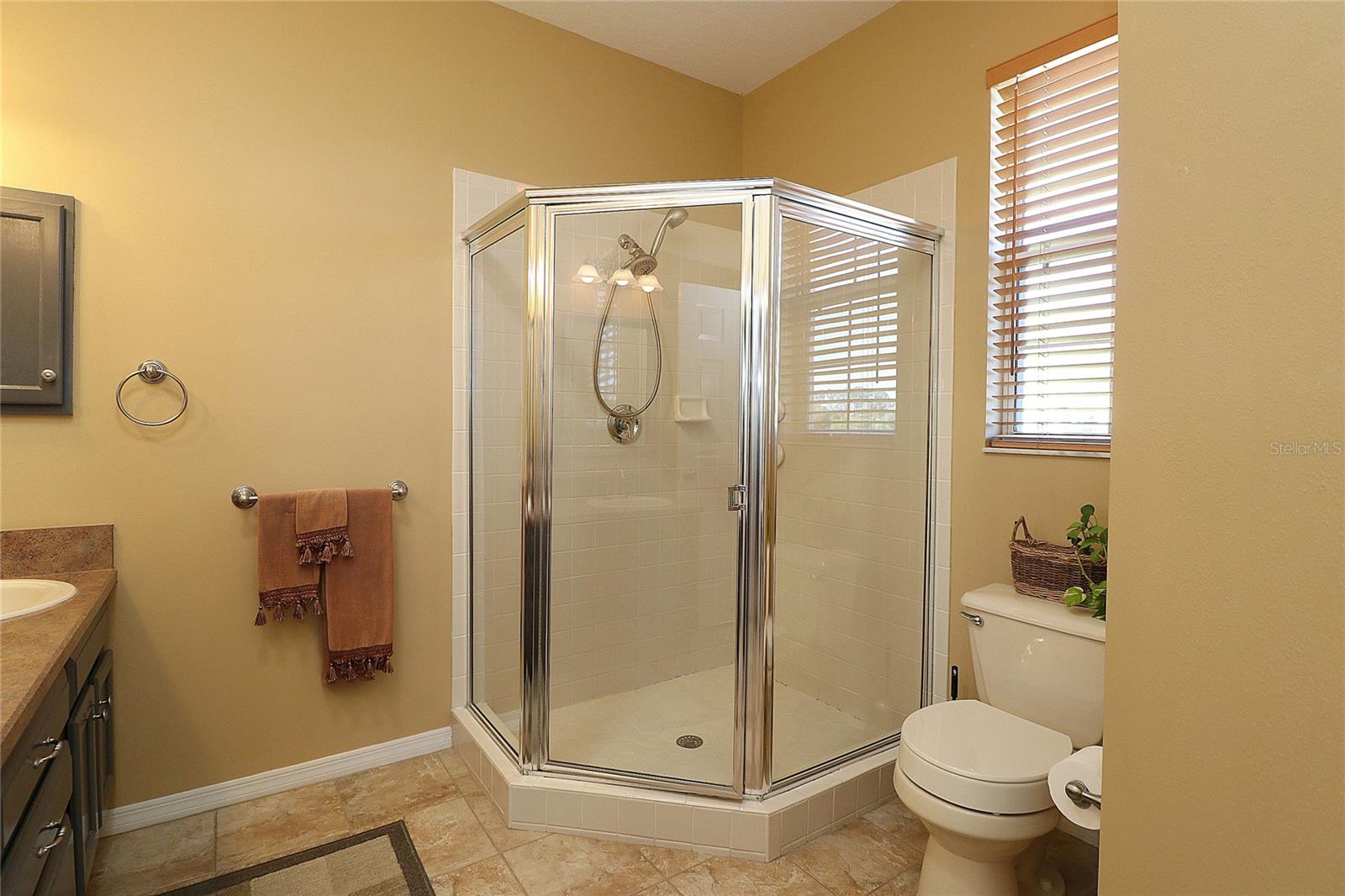 1721 CARRERA DR, THE VILLAGES, FL, 32159