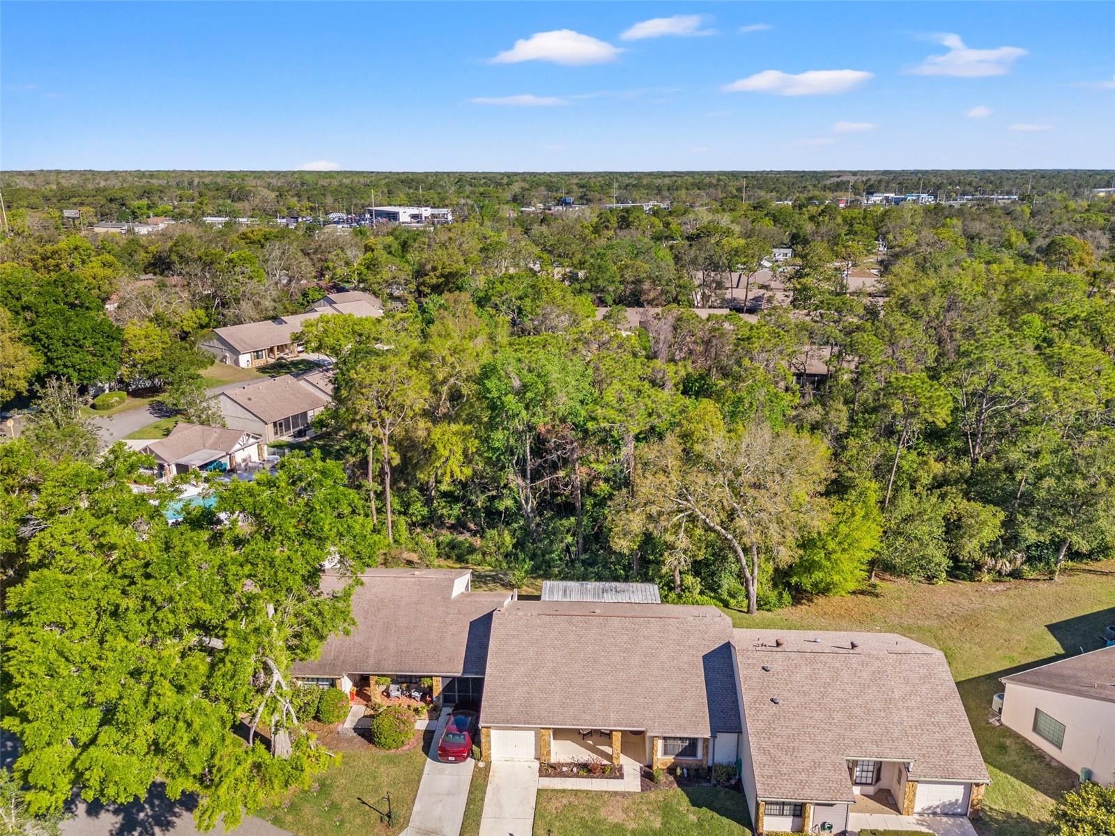 6652 BRAMBLELEAF DR, SPRING HILL, FL, 34606