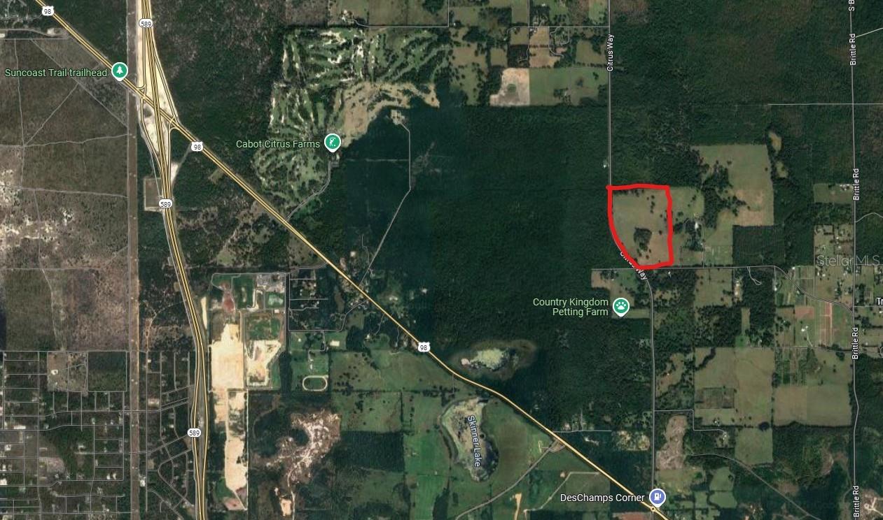 0 CITRUS WAY, BROOKSVILLE, FL, 34601