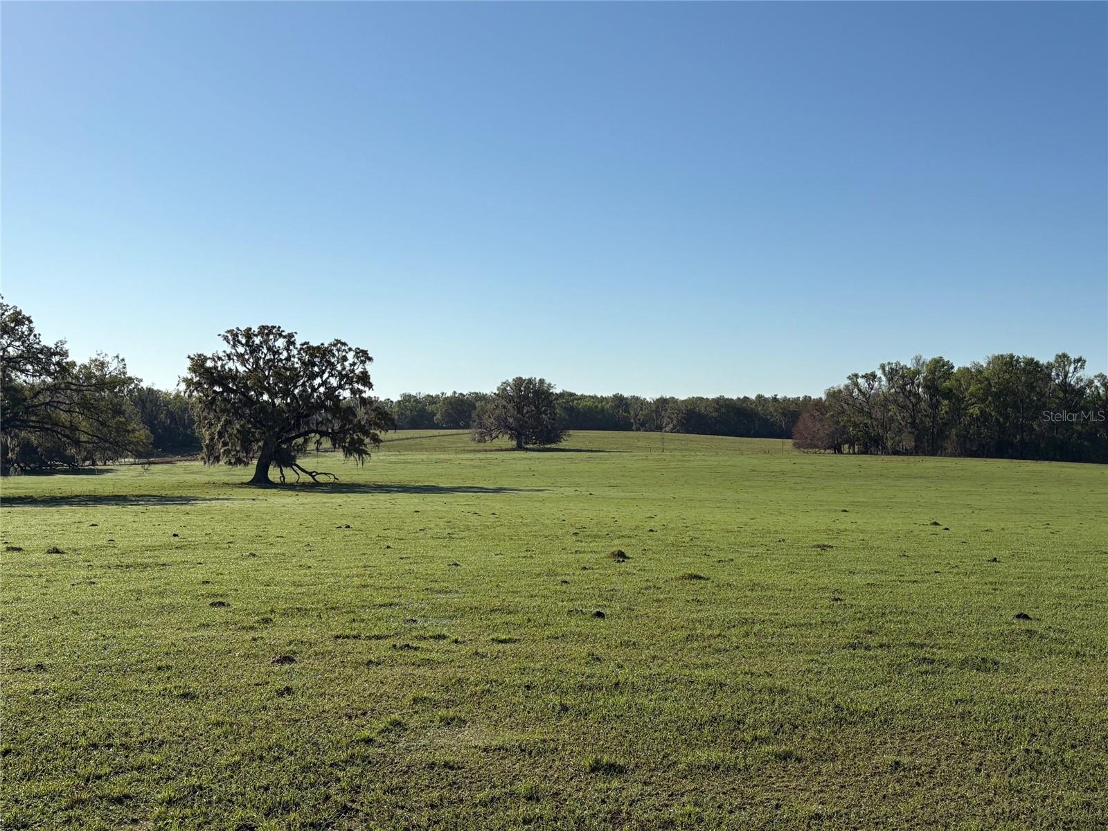 0 CITRUS WAY, BROOKSVILLE, FL, 34601