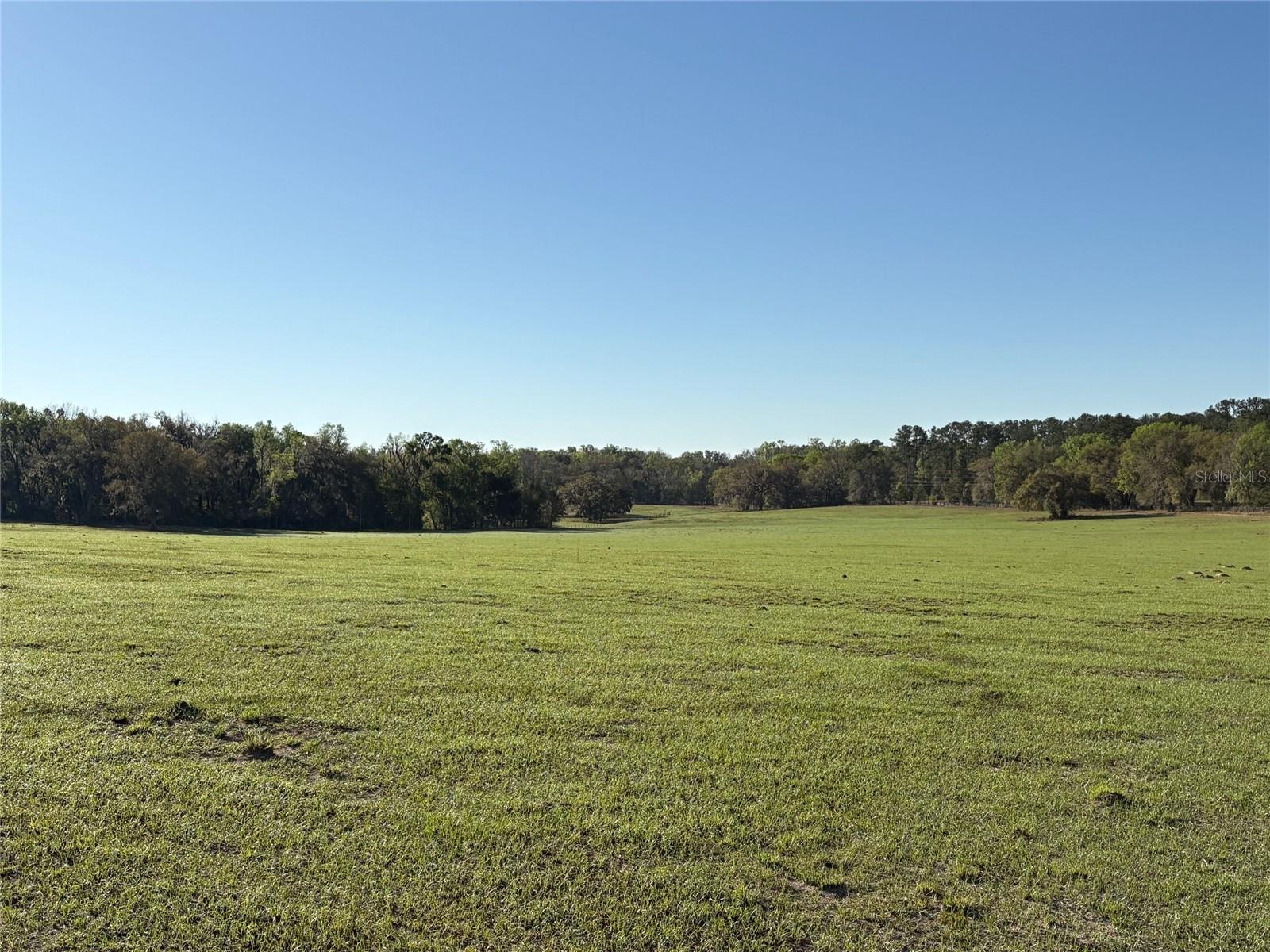0 CITRUS WAY, BROOKSVILLE, FL, 34601