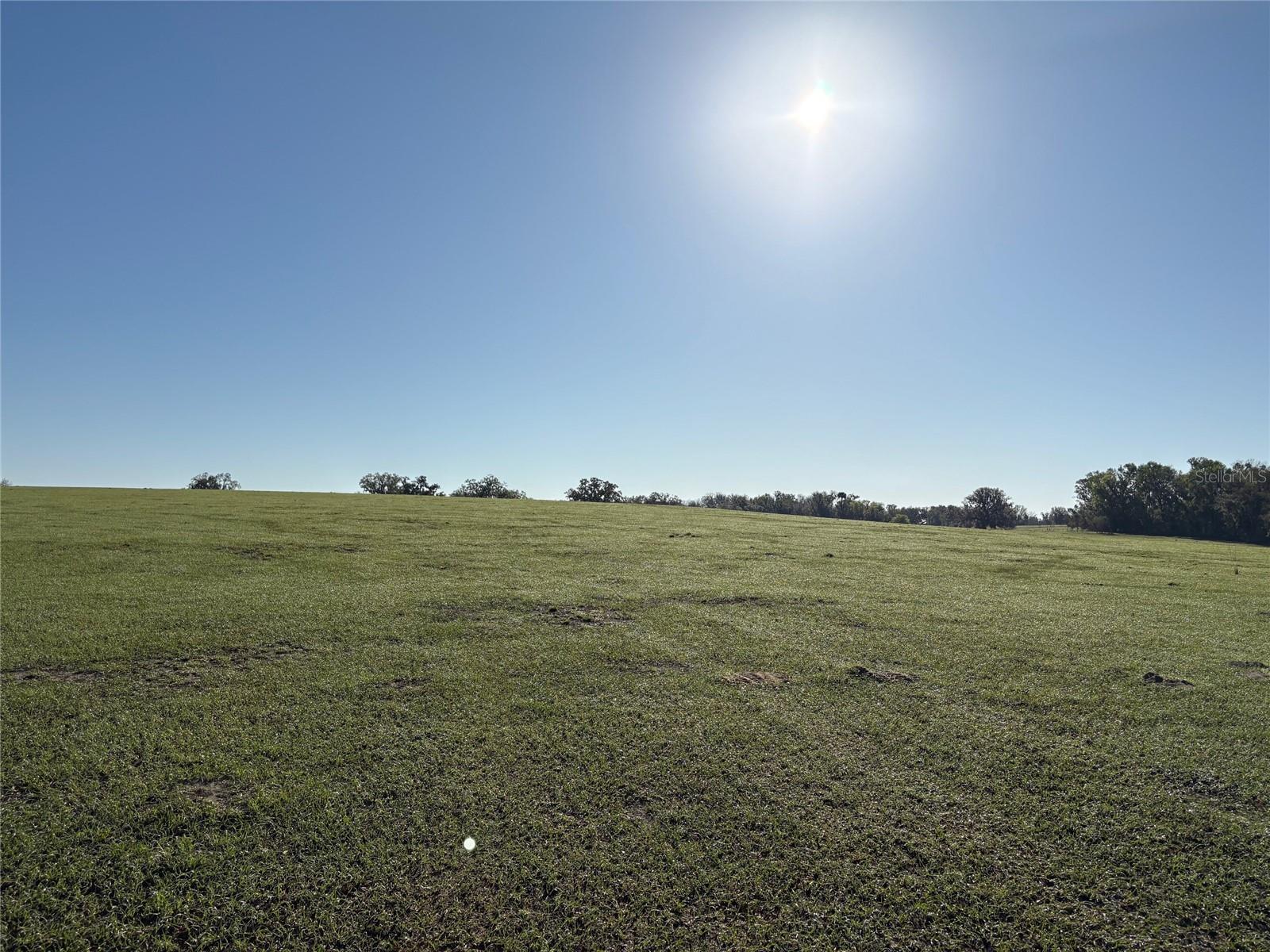 0 CITRUS WAY, BROOKSVILLE, FL, 34601