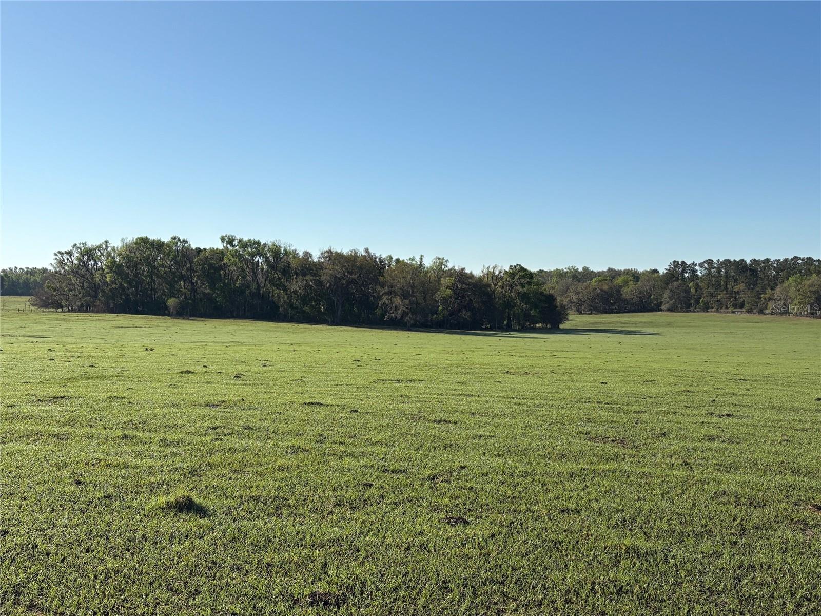 0 CITRUS WAY, BROOKSVILLE, FL, 34601