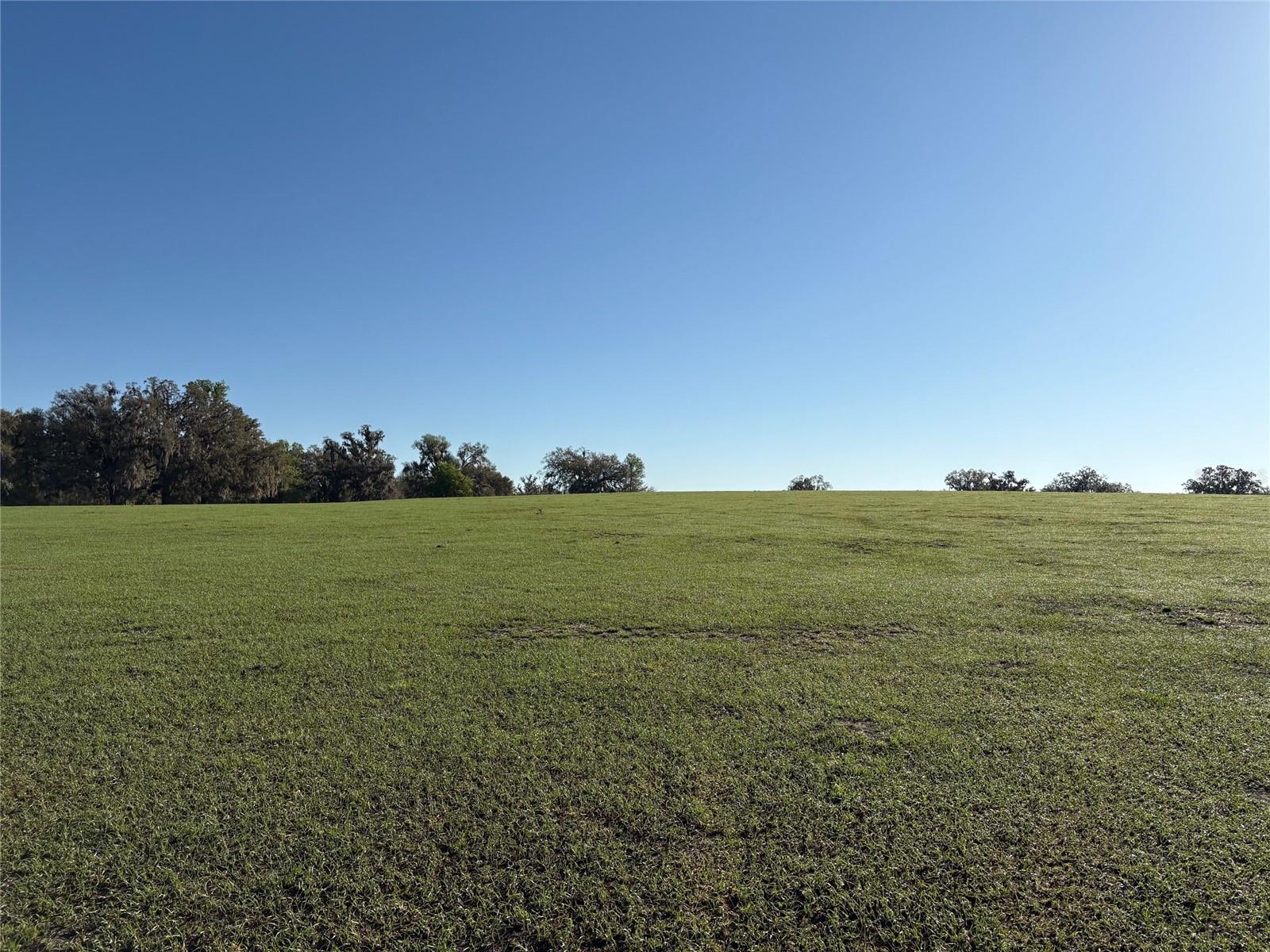 0 CITRUS WAY, BROOKSVILLE, FL, 34601