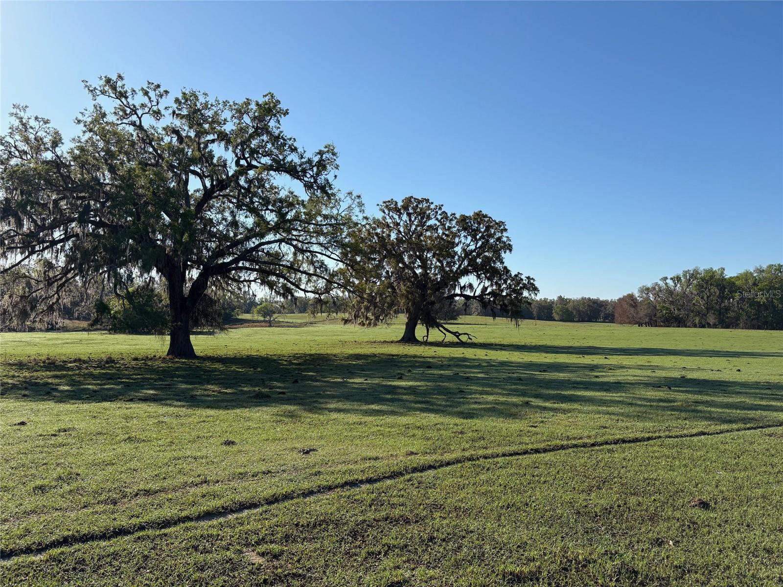 0 CITRUS WAY, BROOKSVILLE, FL, 34601