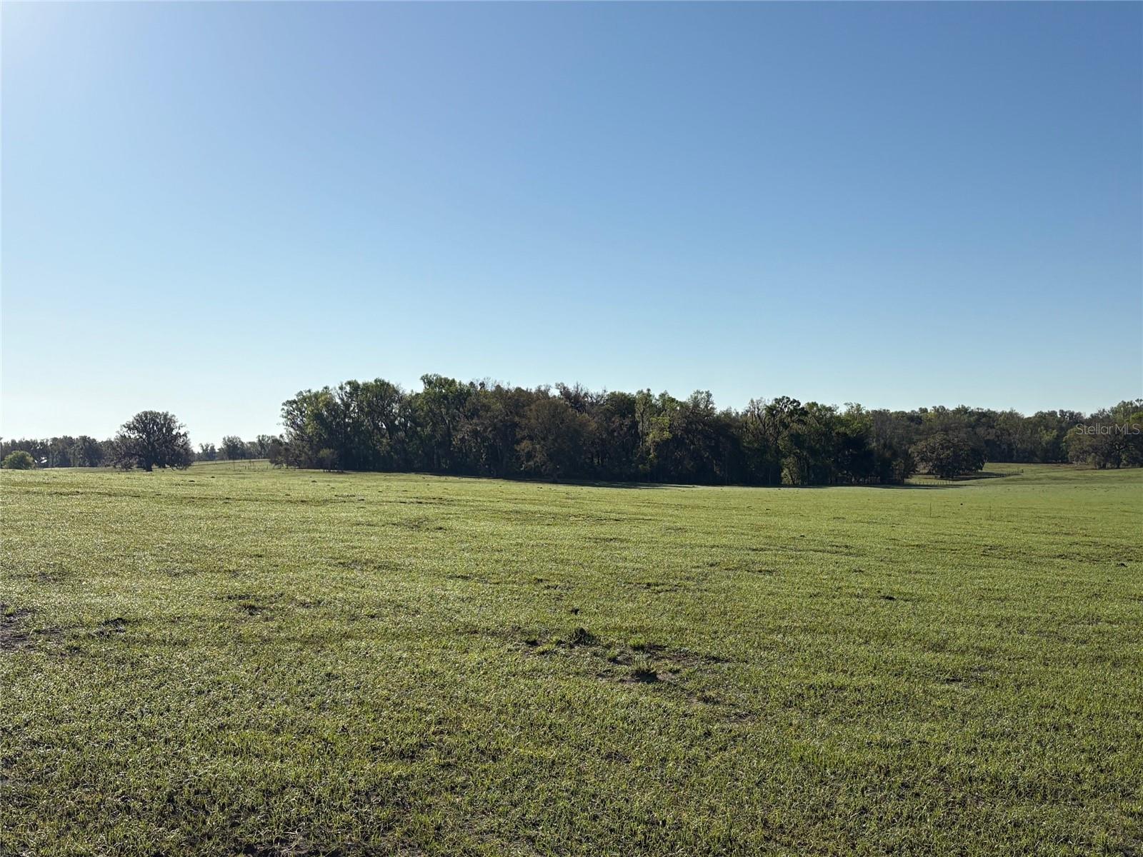 0 CITRUS WAY, BROOKSVILLE, FL, 34601