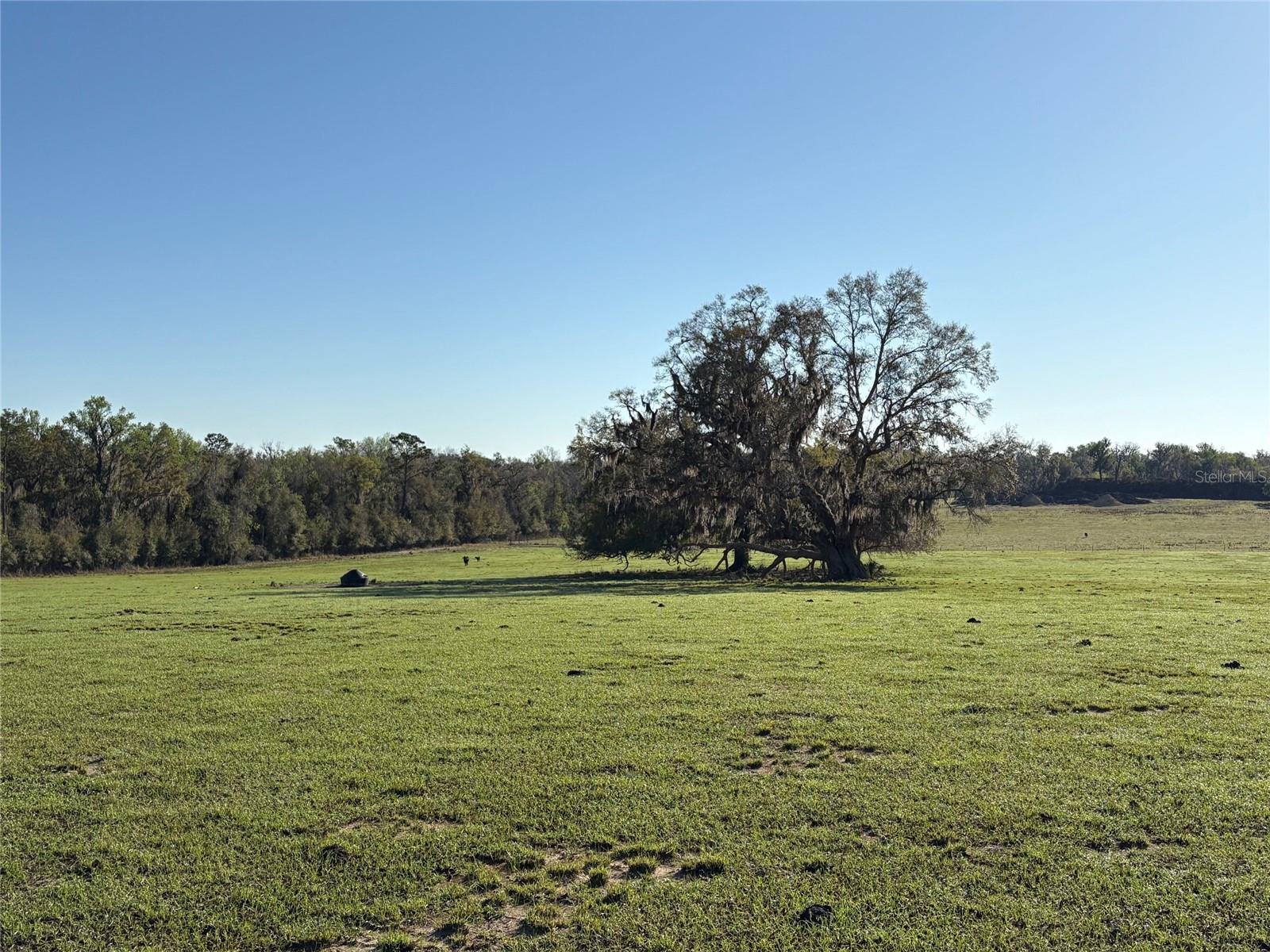 0 CITRUS WAY, BROOKSVILLE, FL, 34601