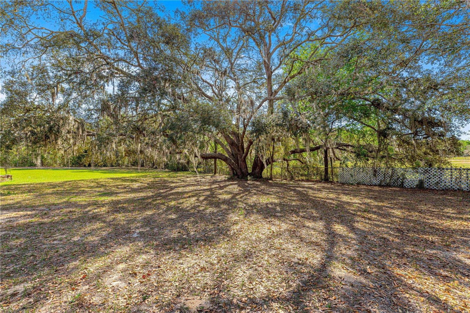 8976 SE 126 PL, BELLEVIEW, FL, 34420