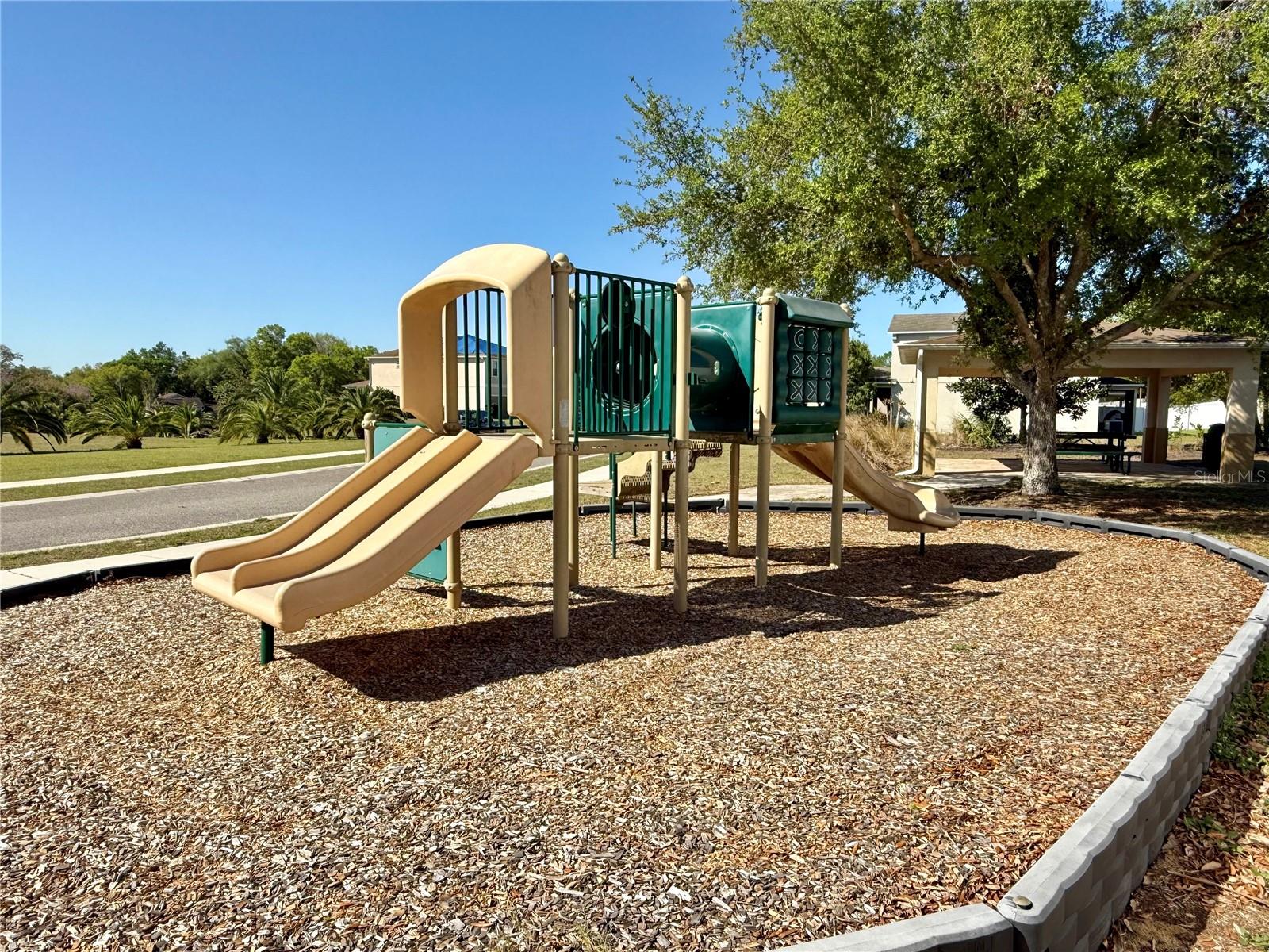 1568 BRANDYWINE DR, TAVARES, FL, 32778