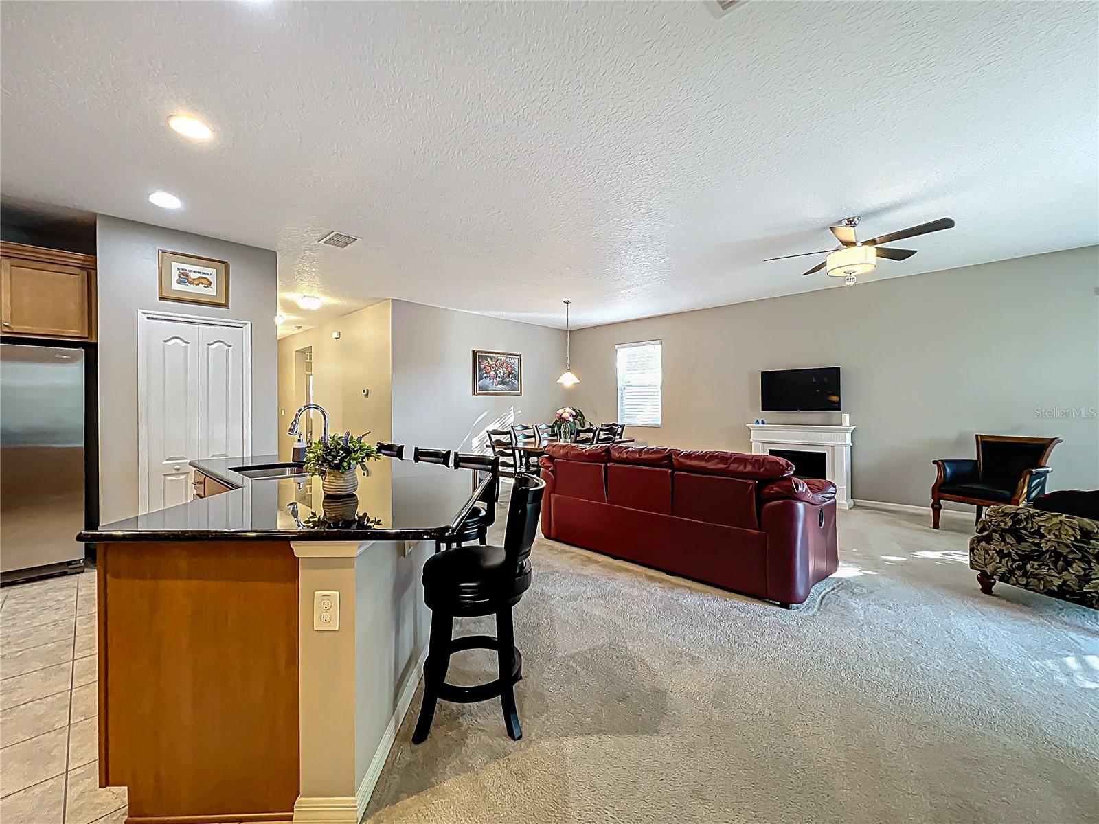 1568 BRANDYWINE DR, TAVARES, FL, 32778