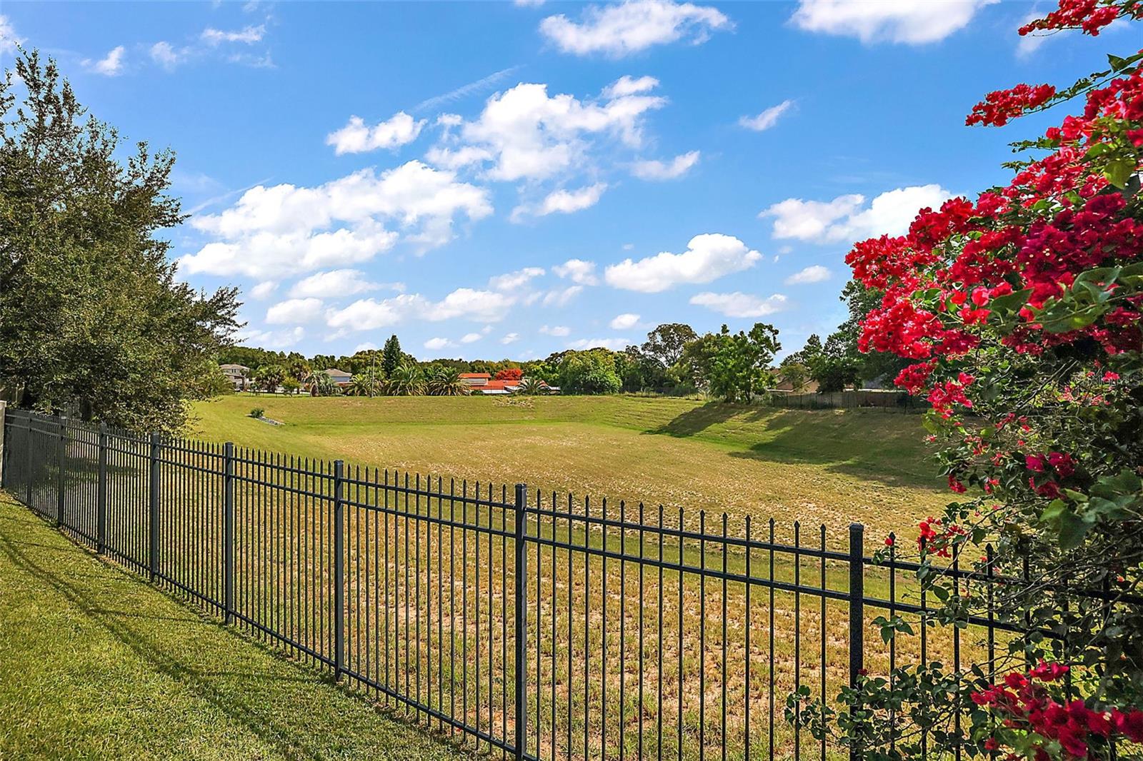 1568 BRANDYWINE DR, TAVARES, FL, 32778