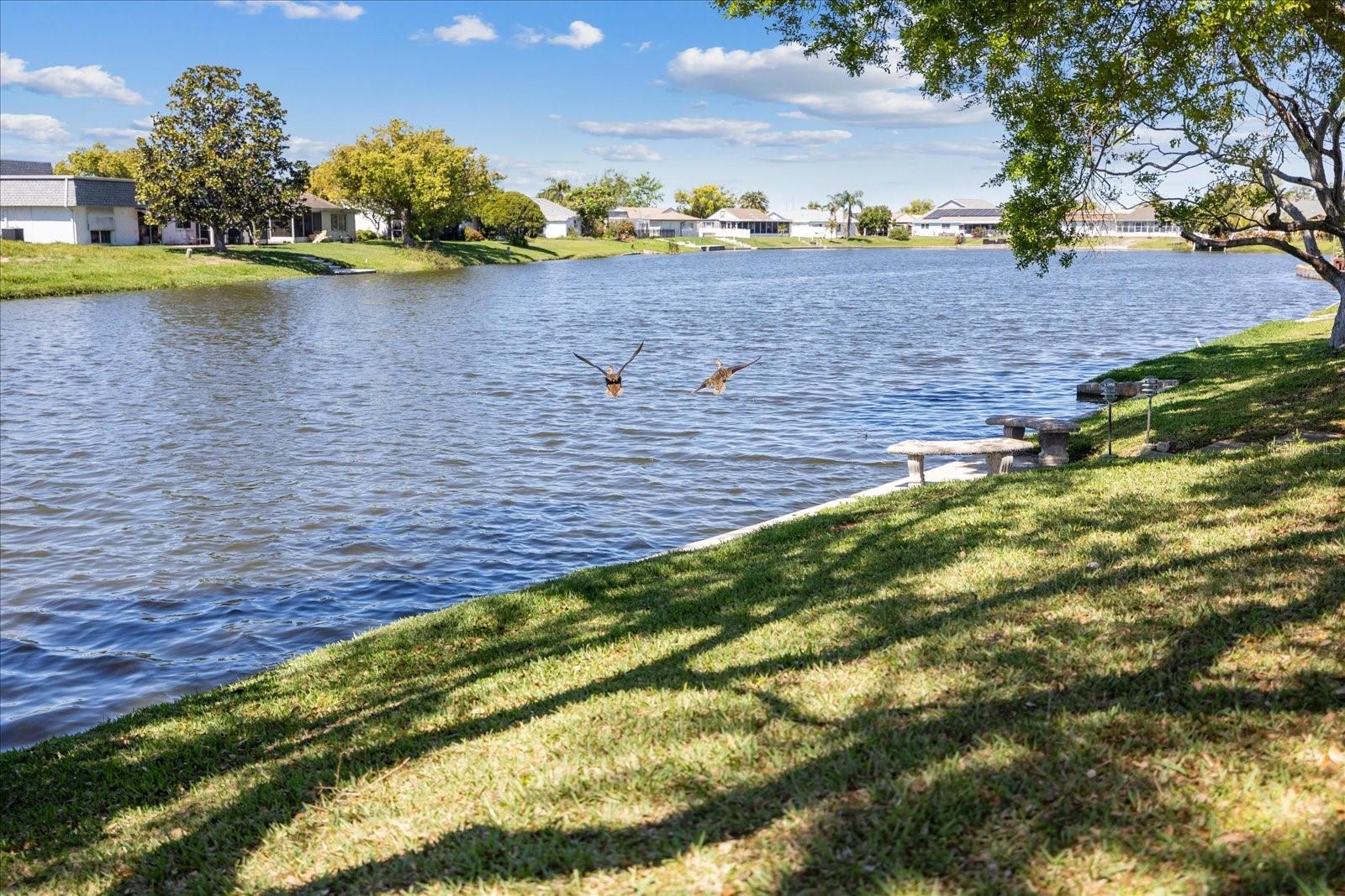 3553 DELTA PL, HOLIDAY, FL, 34691