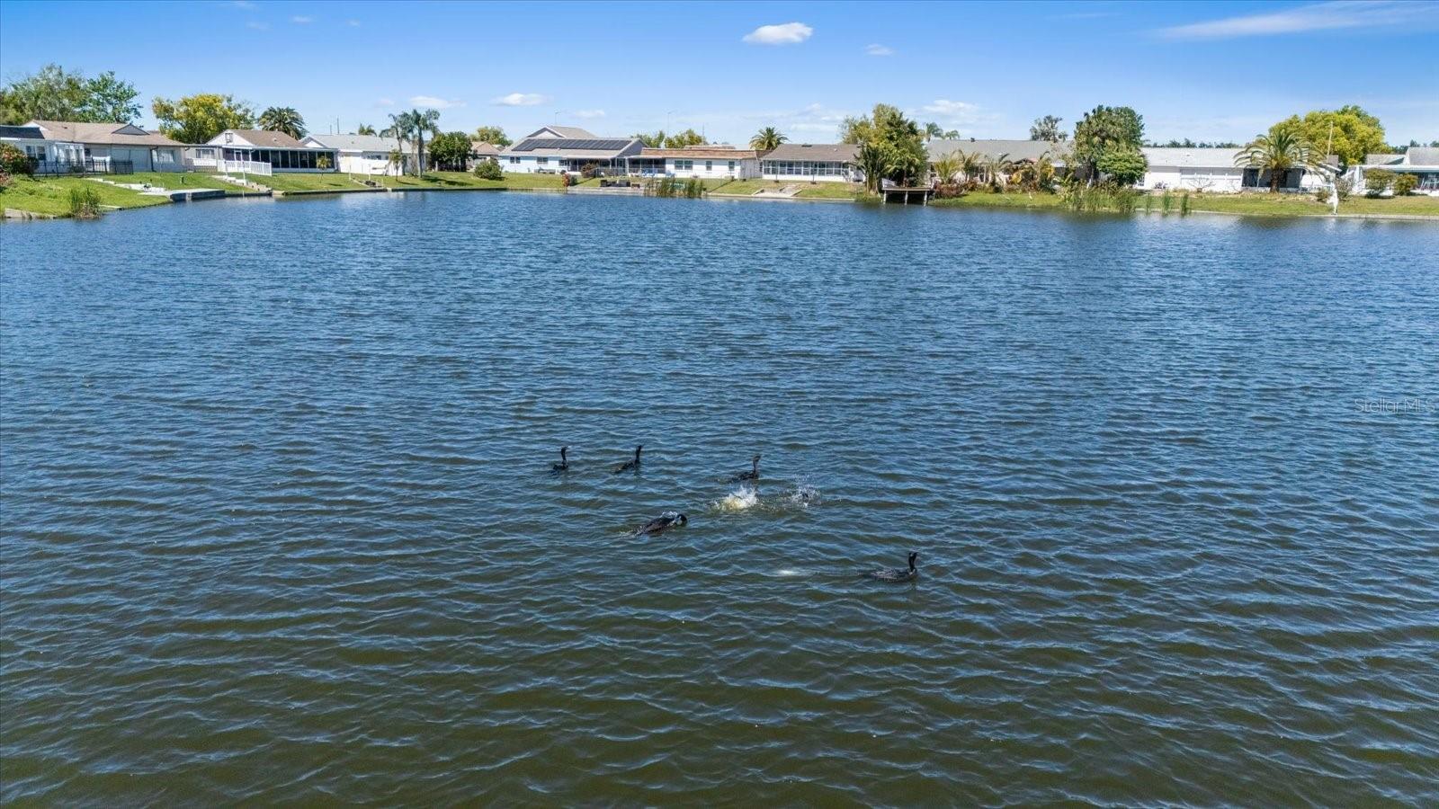 3553 DELTA PL, HOLIDAY, FL, 34691