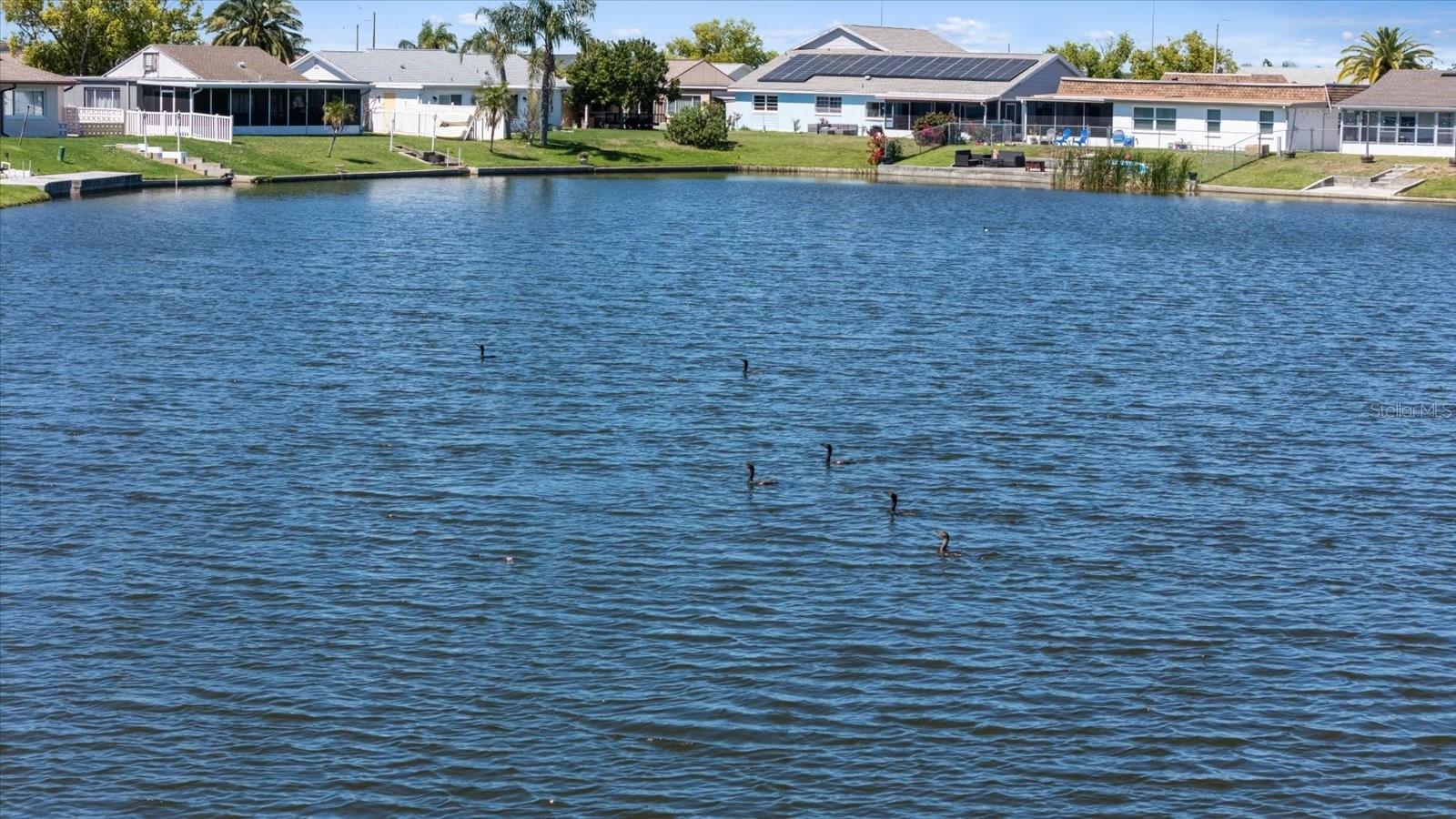 3553 DELTA PL, HOLIDAY, FL, 34691